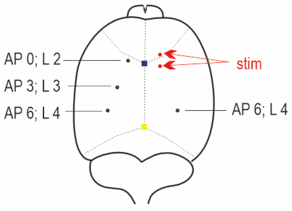 Pharmaceuticals 16 01733 g010