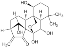 Pharmaceuticals 16 01734 i012