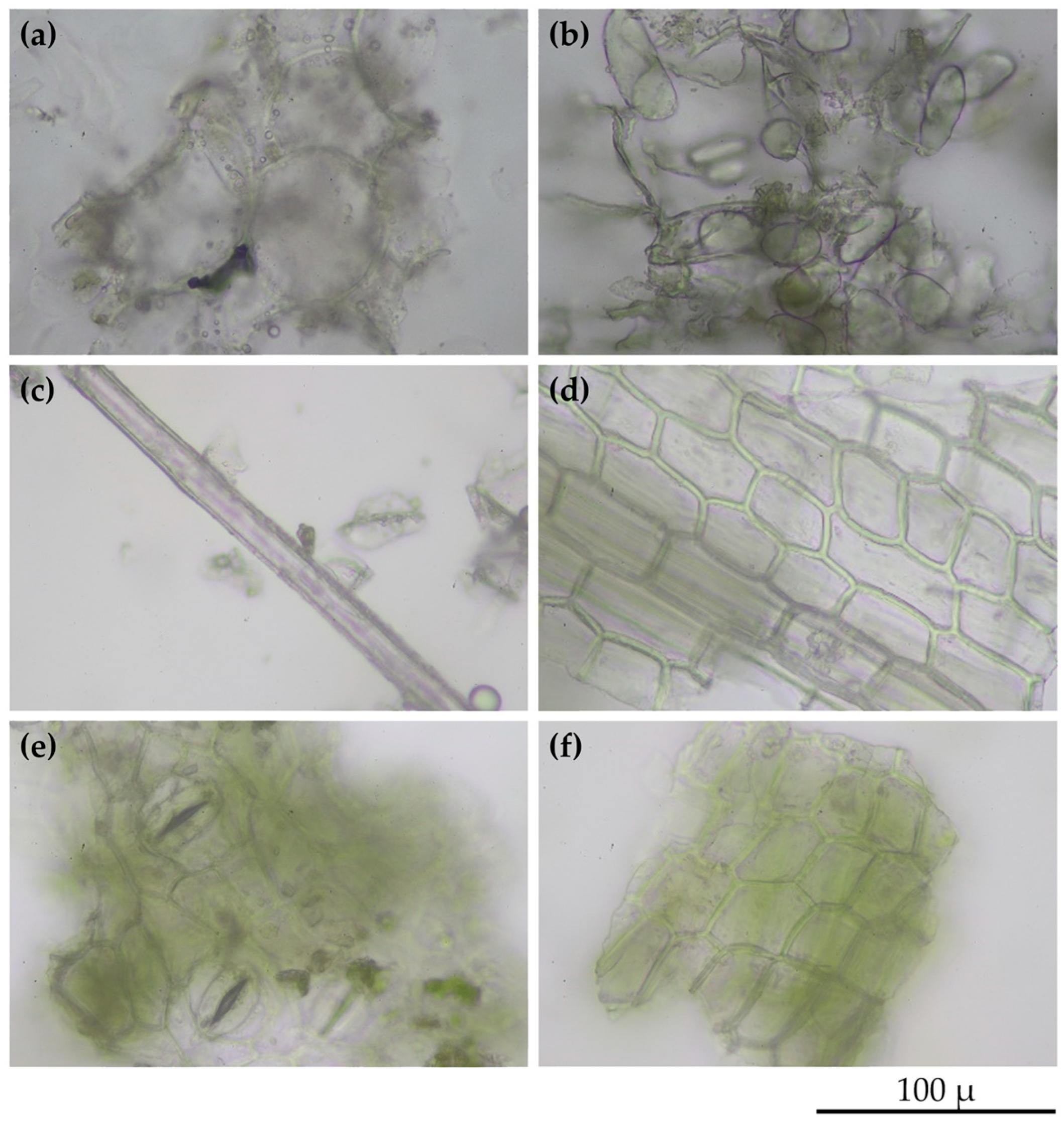 Pharmaceuticals 16 01738 g002