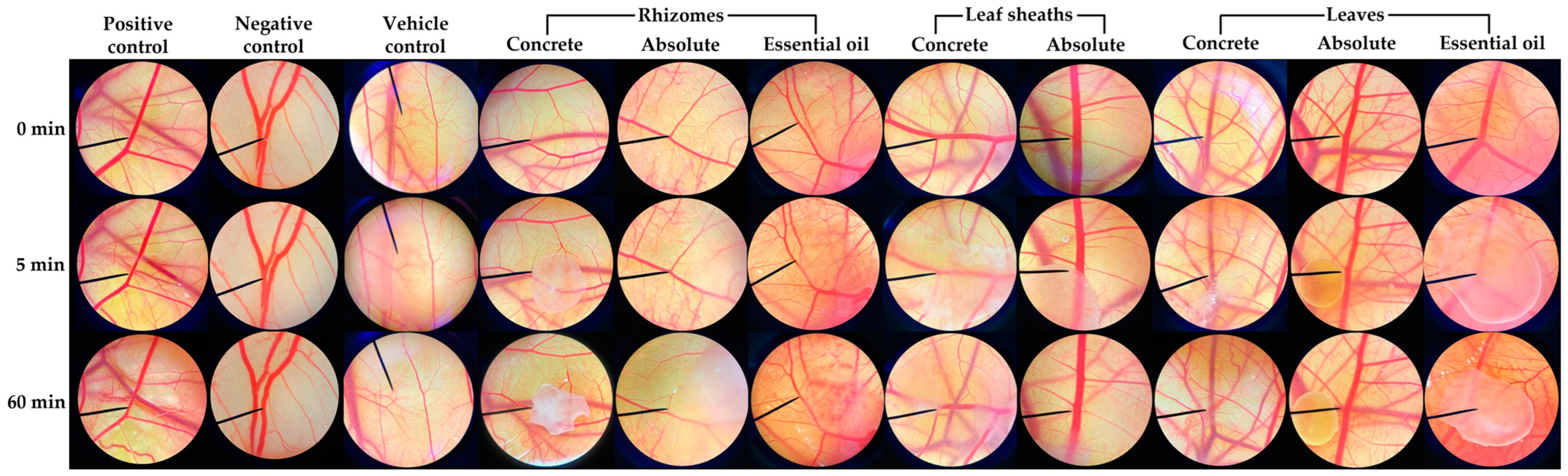 Pharmaceuticals 16 01738 g007