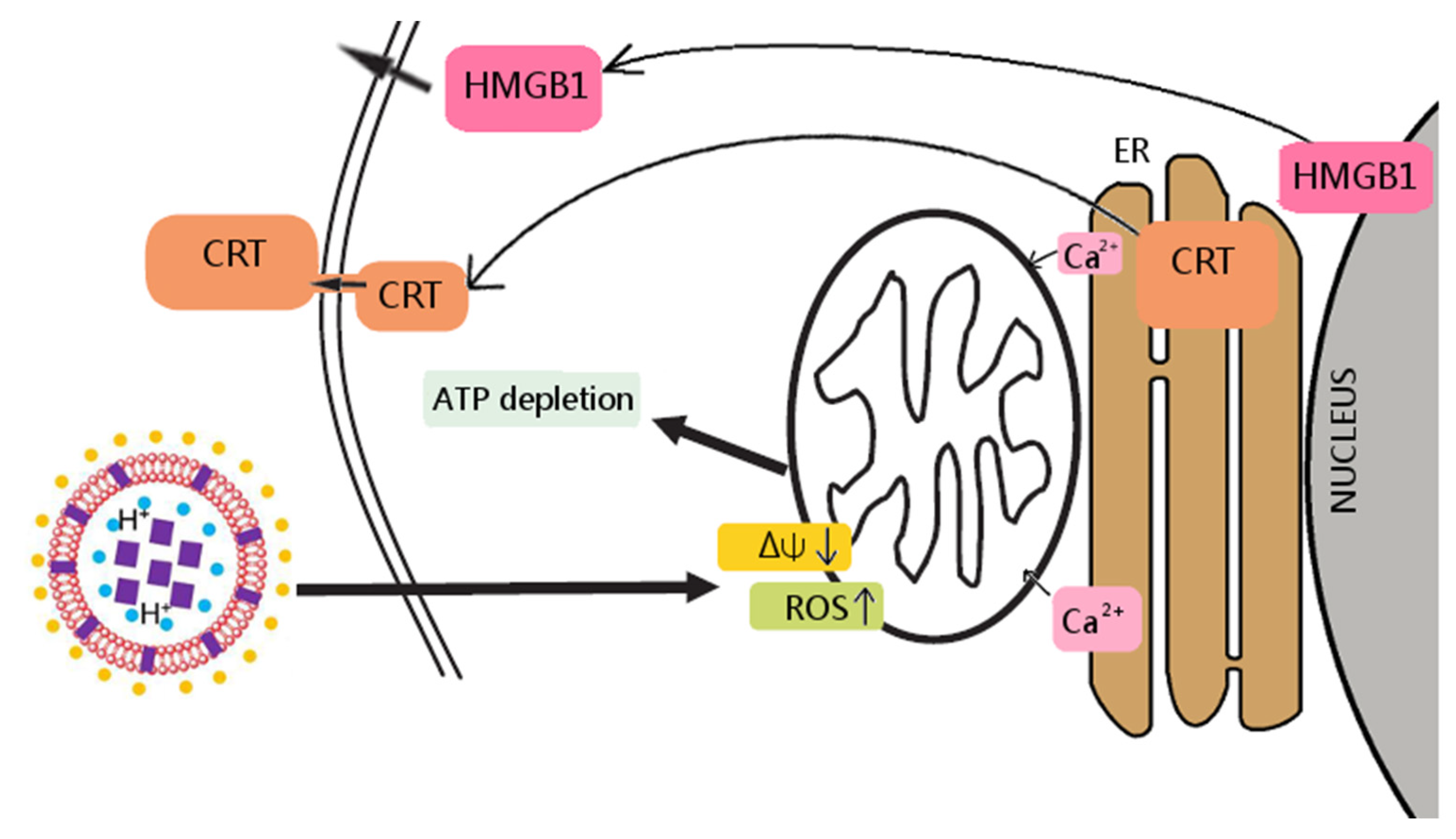 Pharmaceuticals 17 00005 g002 Pharmaceuticals 17 00005 g002