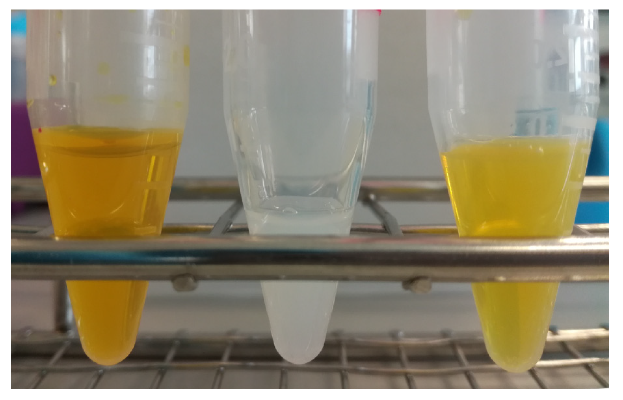 Pharmaceuticals 17 00005 g003 Pharmaceuticals 17 00005 g003