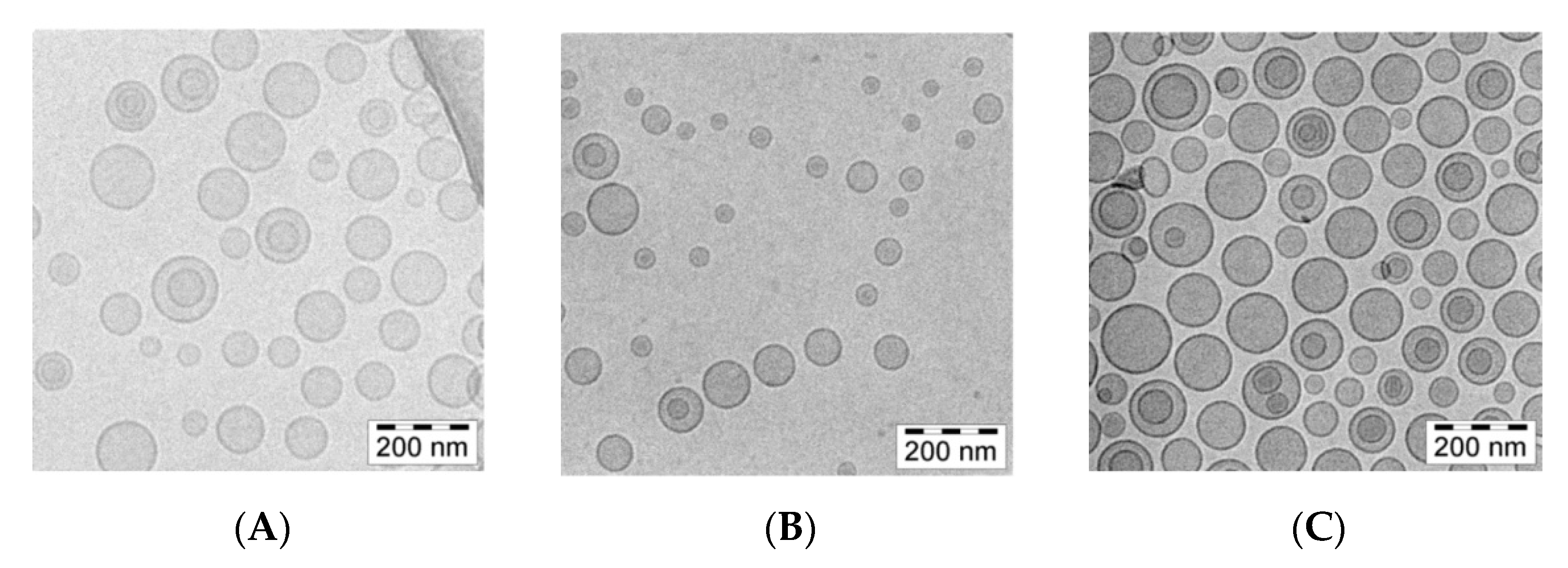 Pharmaceuticals 17 00005 g007 Pharmaceuticals 17 00005 g007