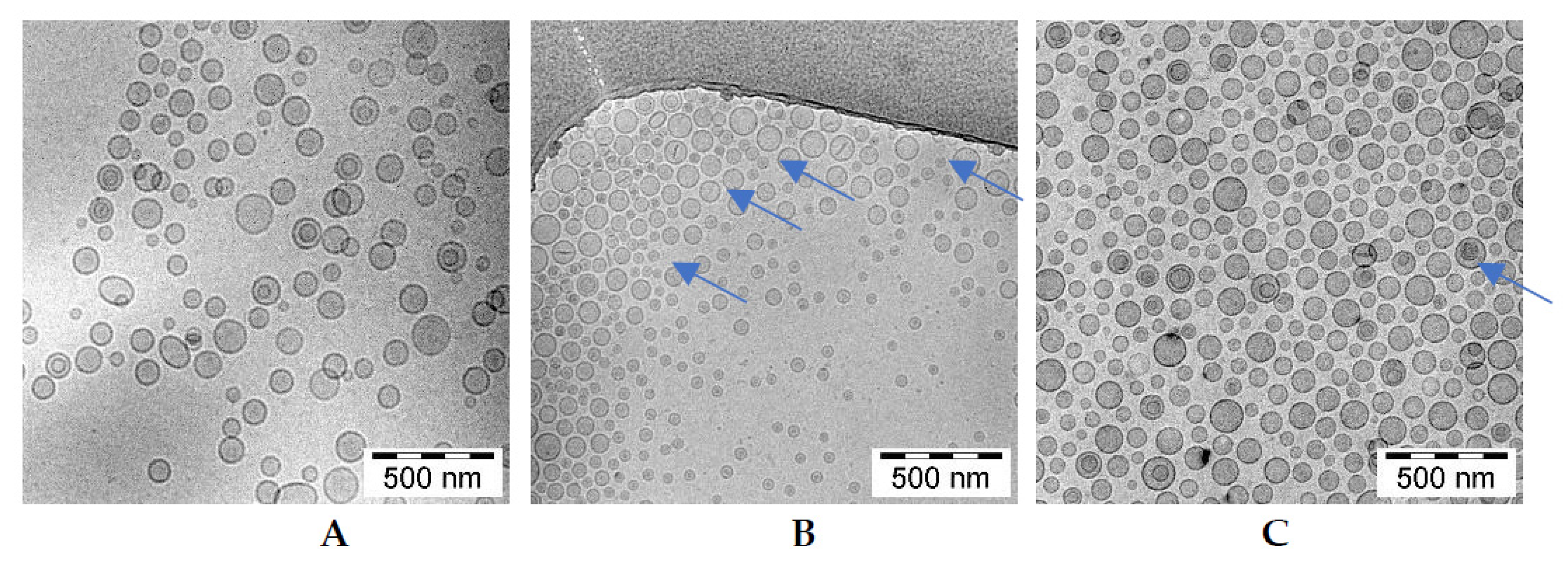 Pharmaceuticals 17 00005 g008 Pharmaceuticals 17 00005 g008