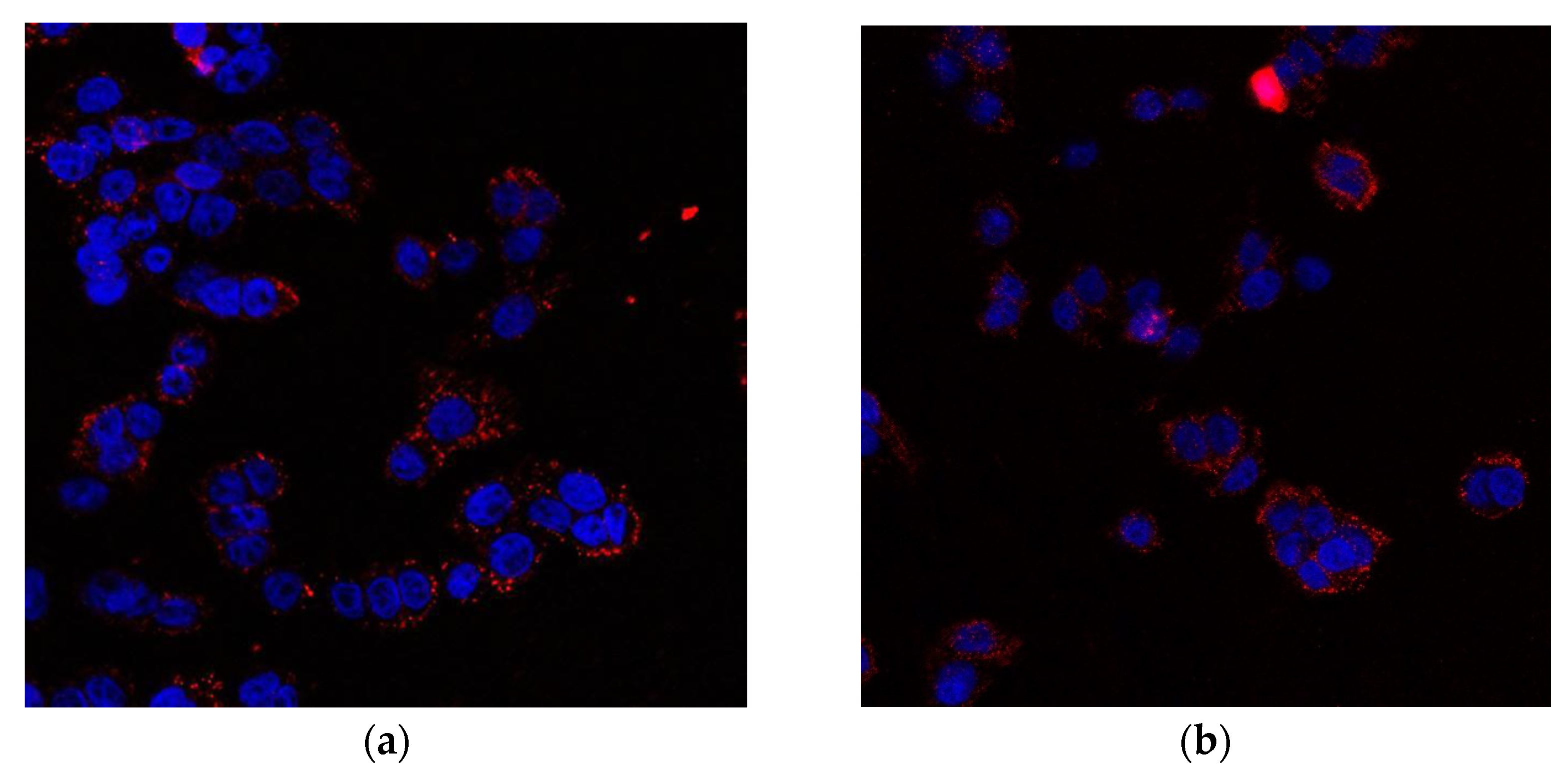 Pharmaceuticals 17 00005 g018 Pharmaceuticals 17 00005 g018