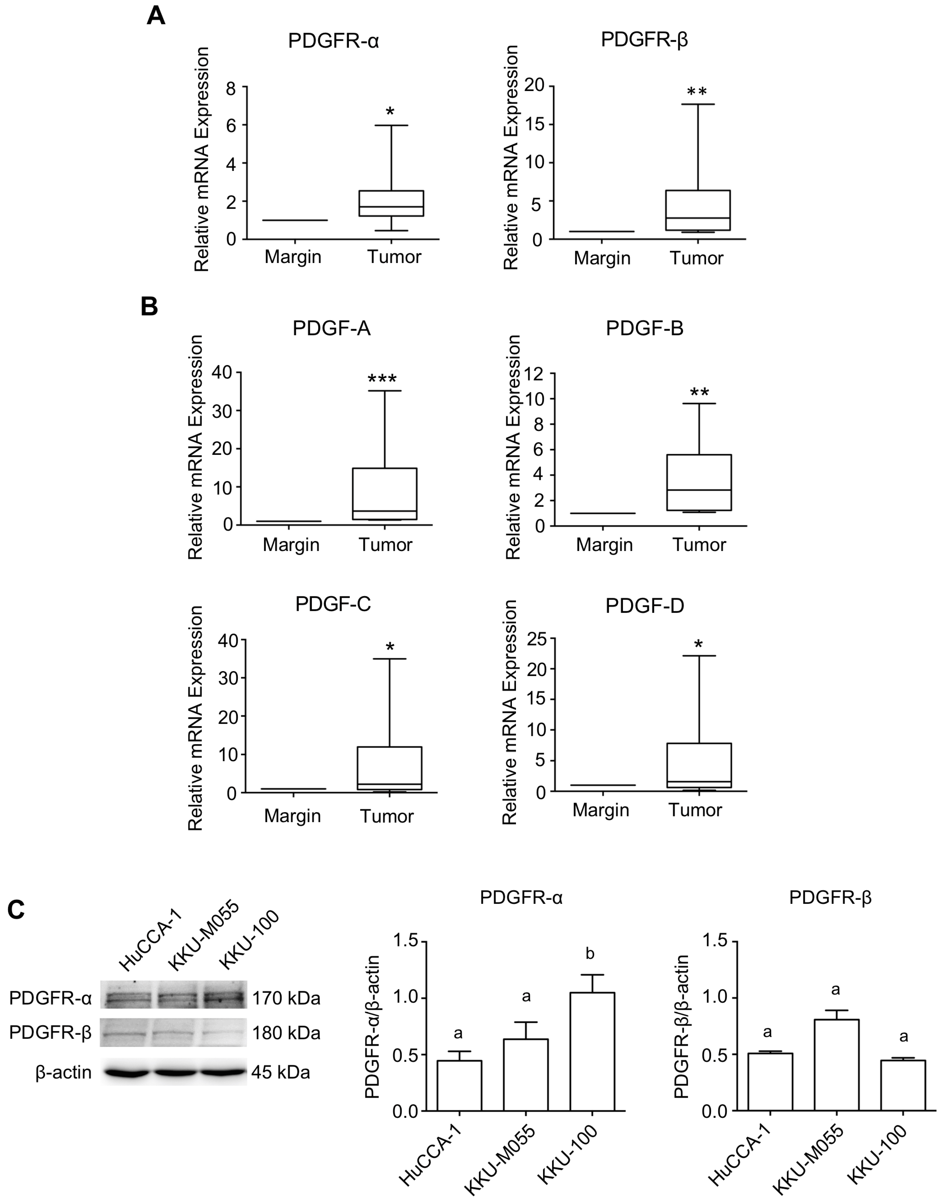 Pharmaceuticals 17 00009 g001