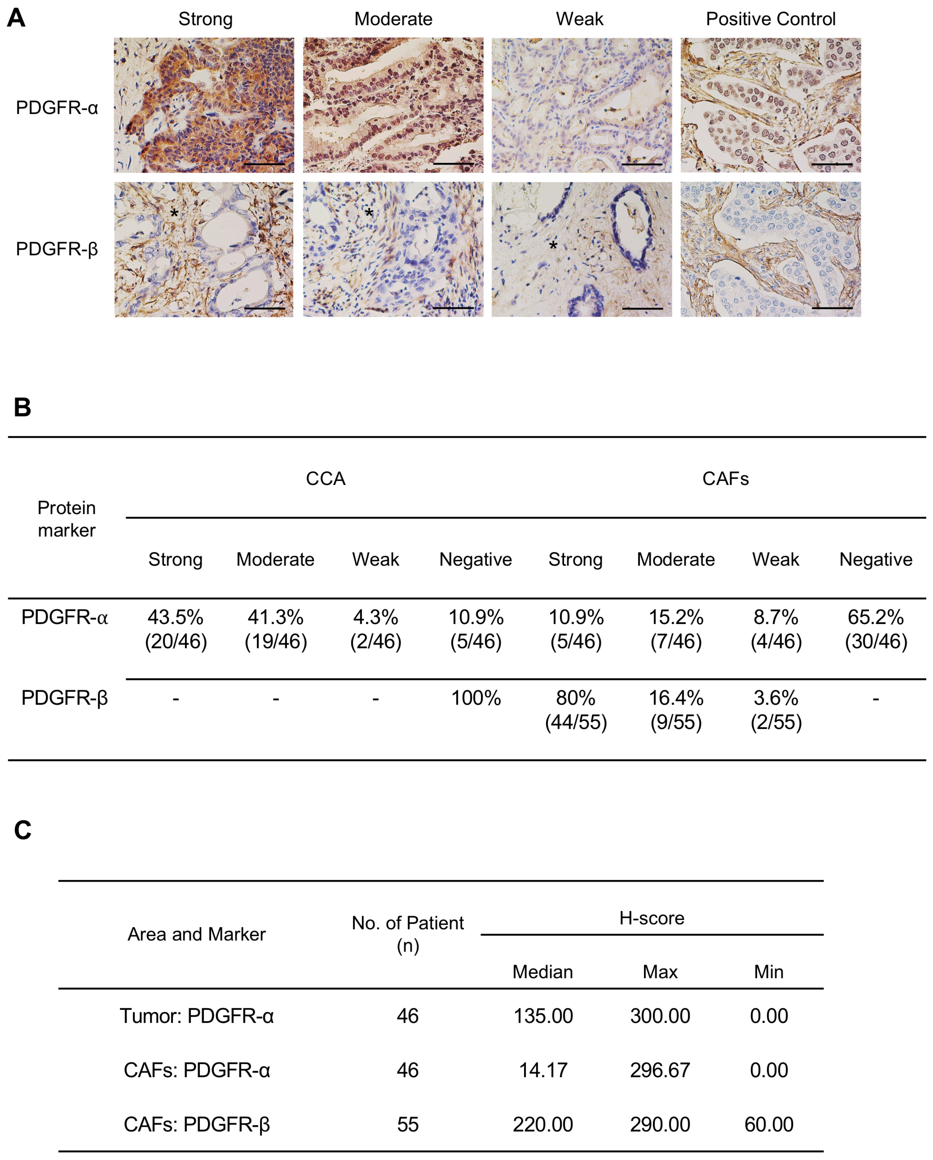 Pharmaceuticals 17 00009 g002