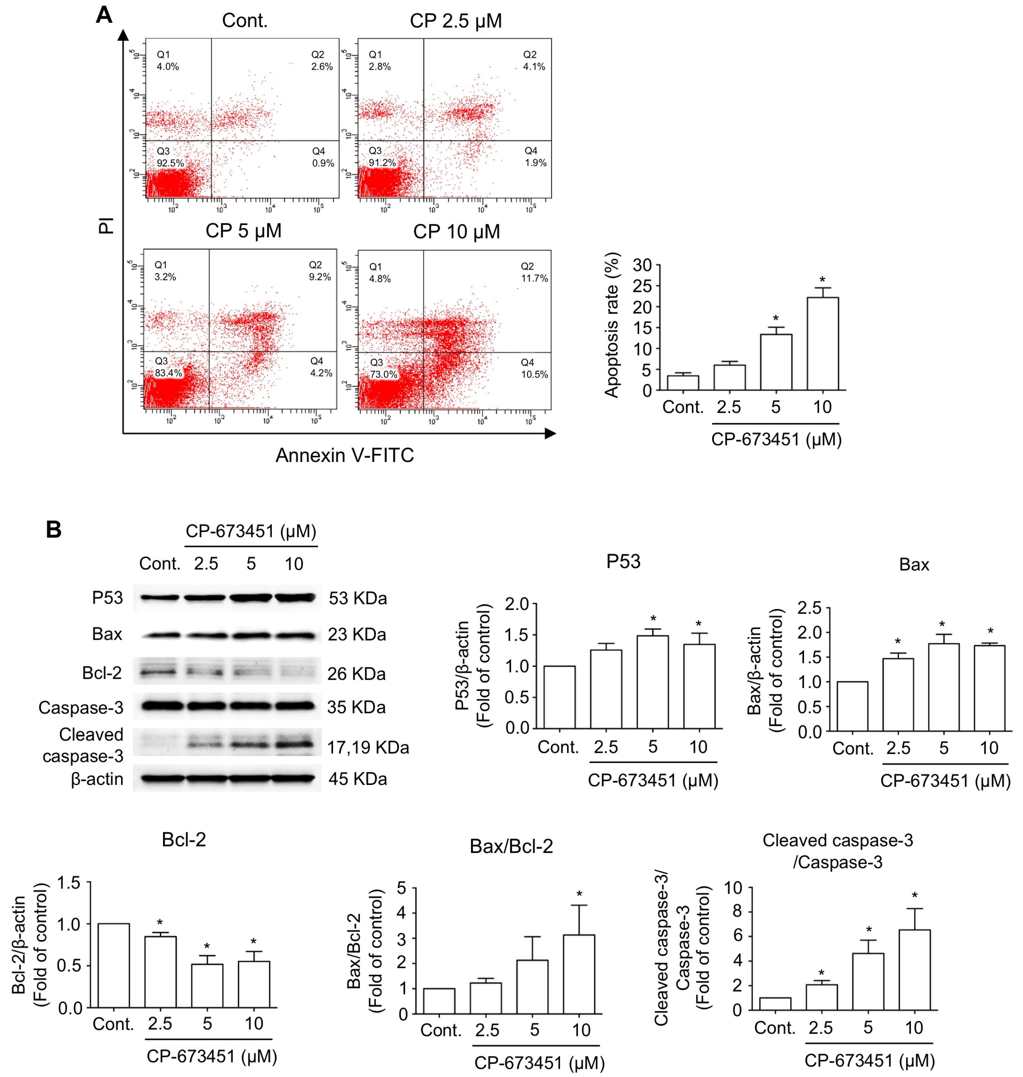 Pharmaceuticals 17 00009 g004