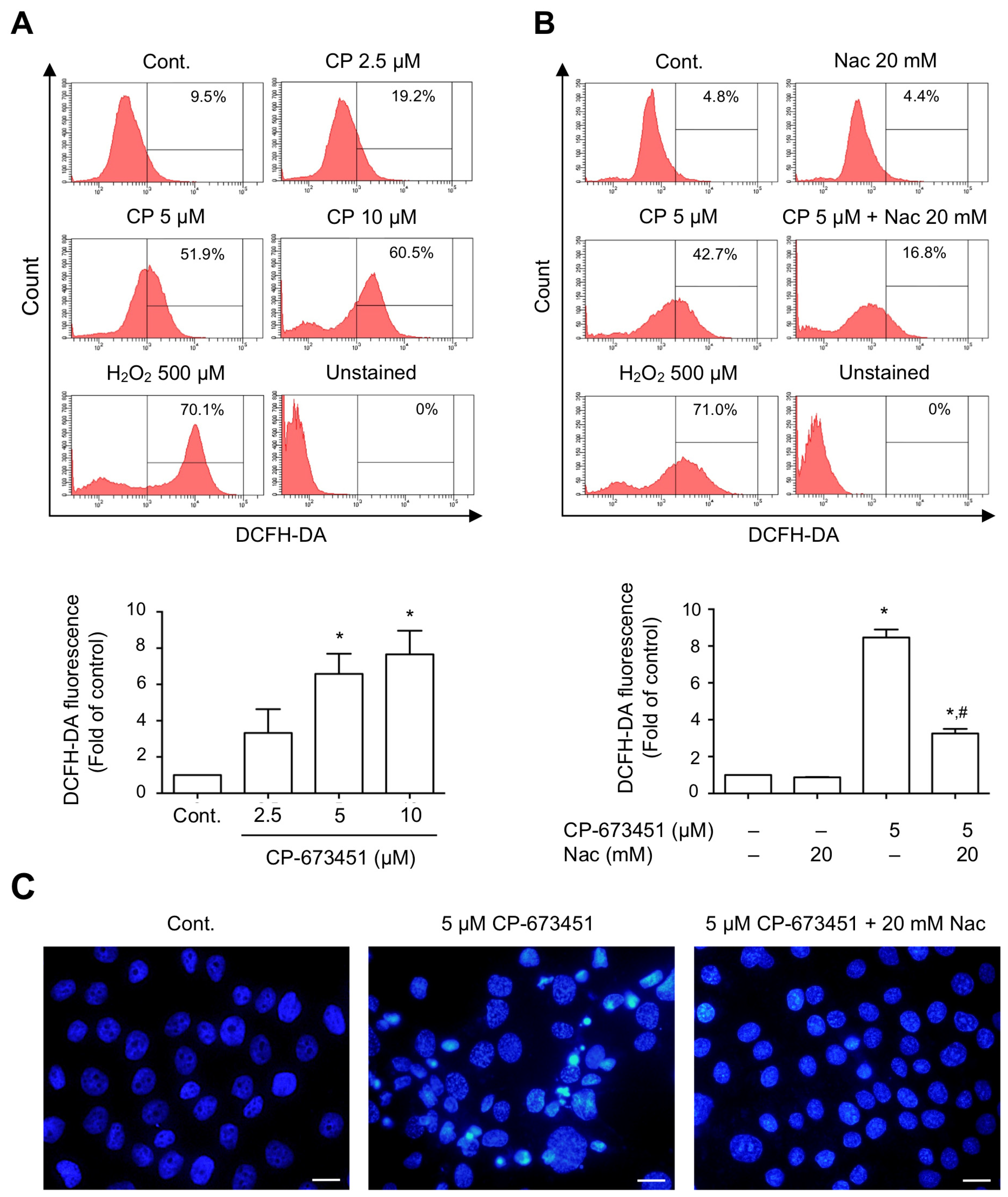 Pharmaceuticals 17 00009 g005