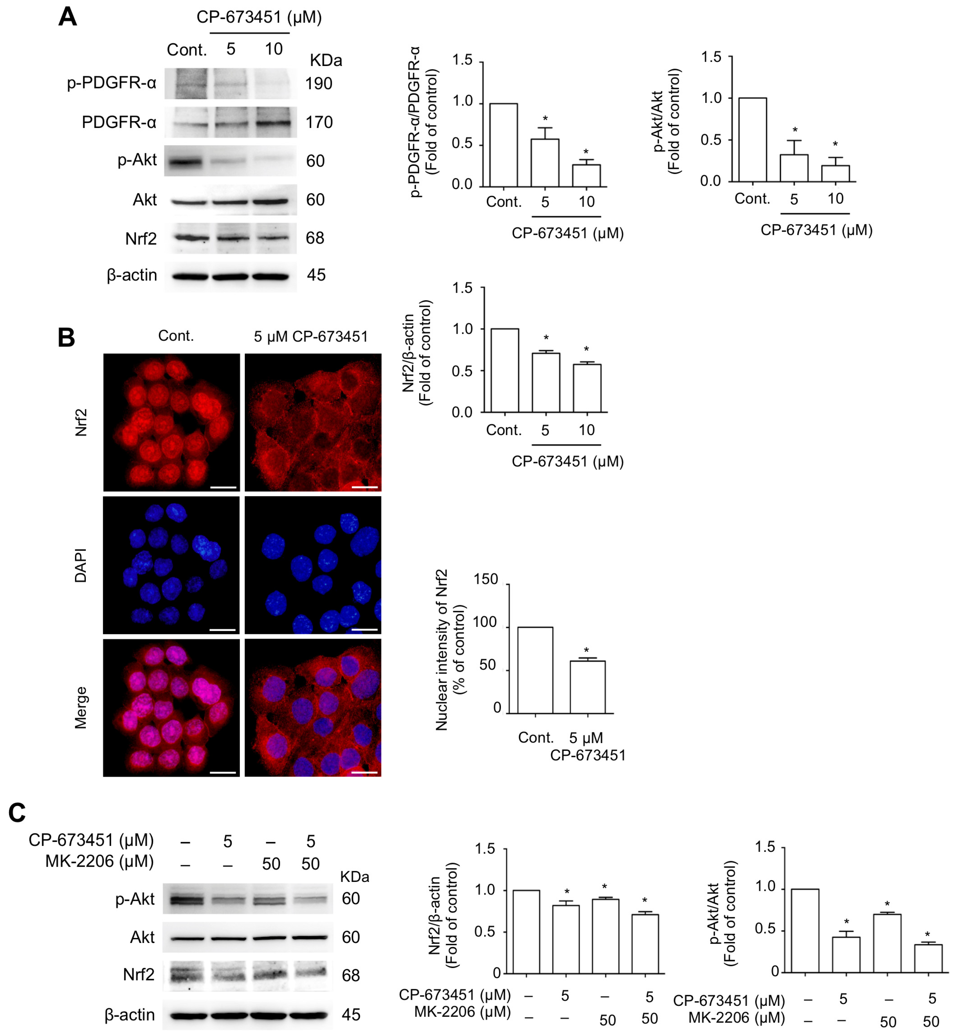 Pharmaceuticals 17 00009 g006