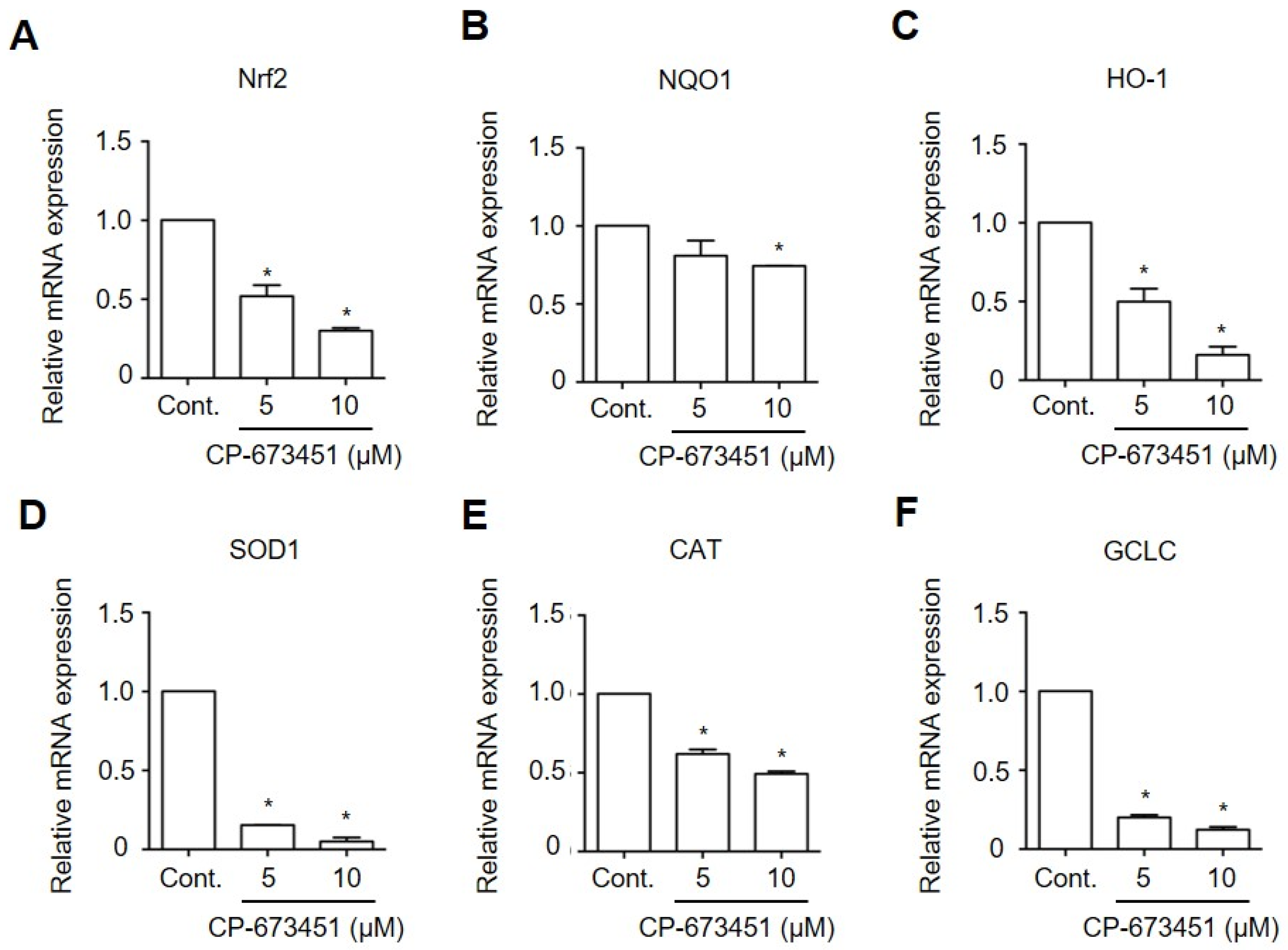 Pharmaceuticals 17 00009 g007