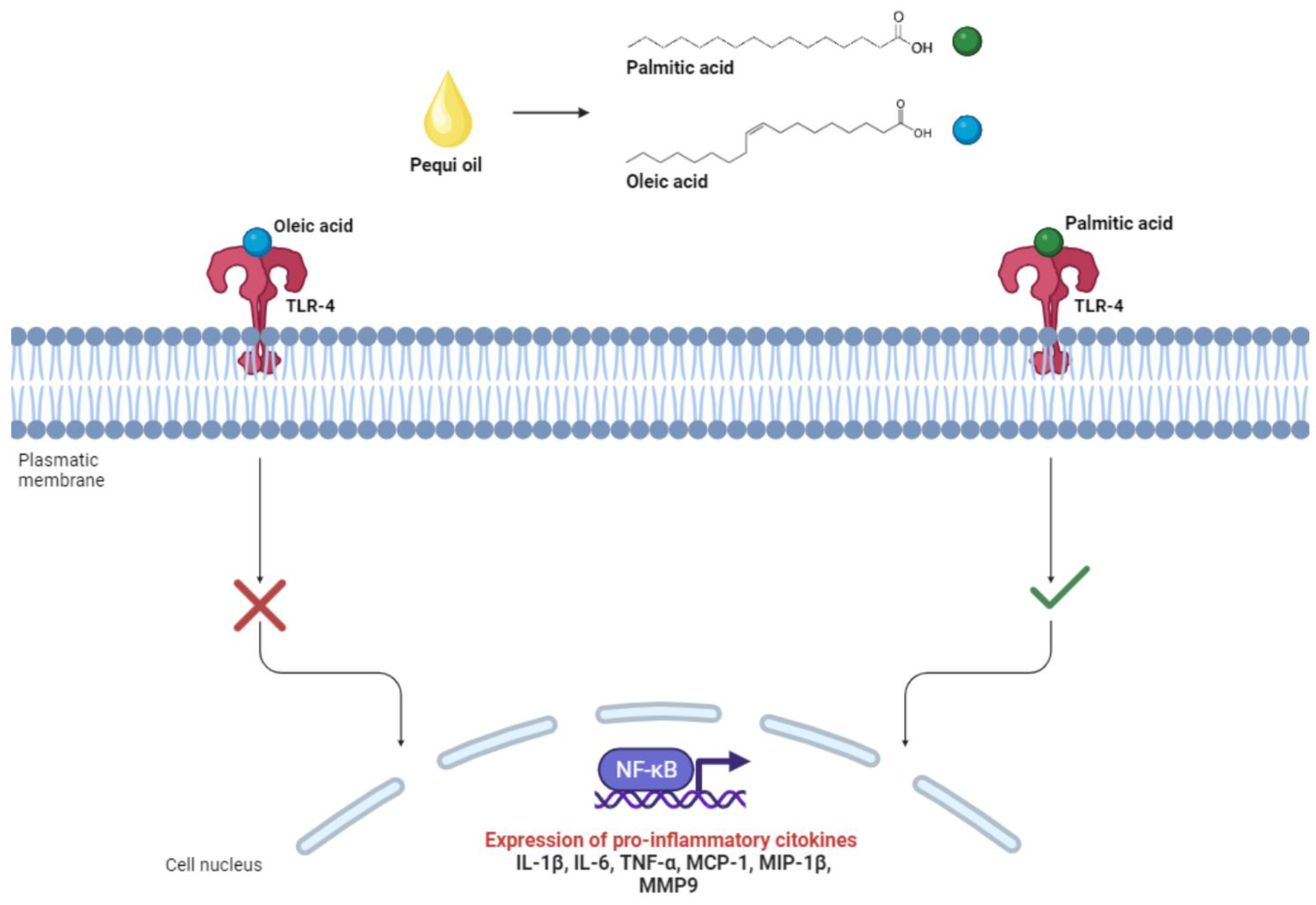 Pharmaceuticals 17 00011 g004