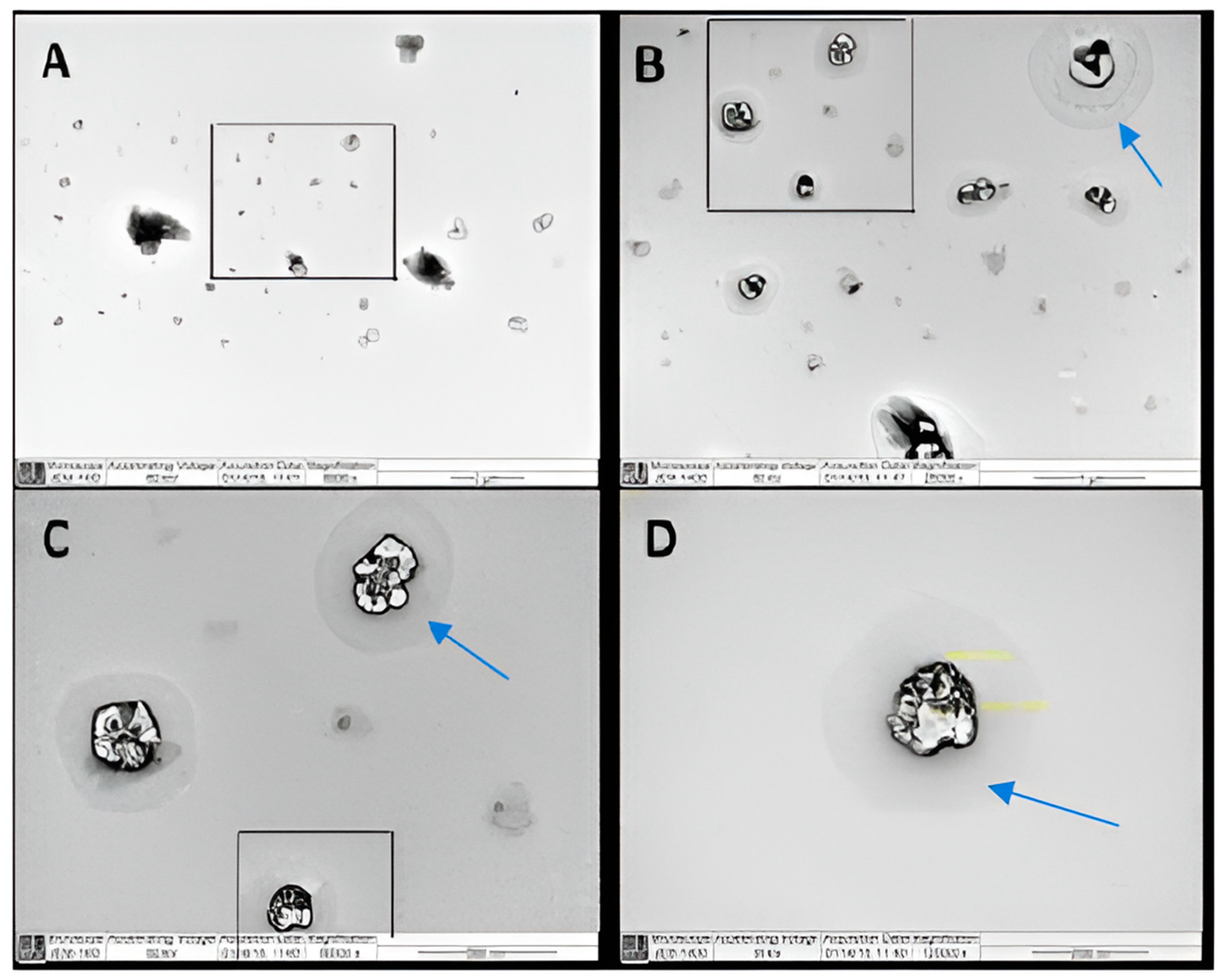 Pharmaceuticals 17 00019 g001 Pharmaceuticals 17 00019 g001