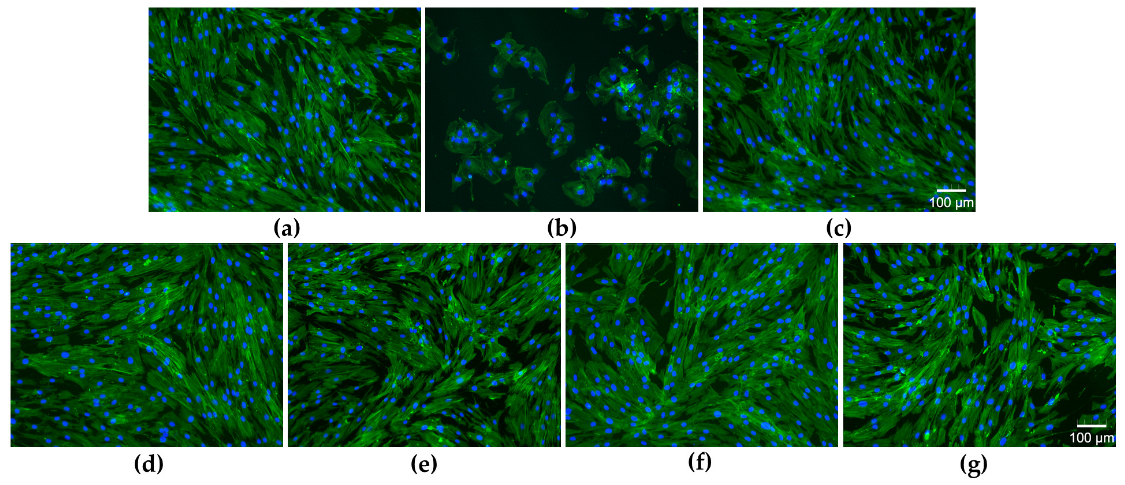 Pharmaceuticals 17 00023 g005
