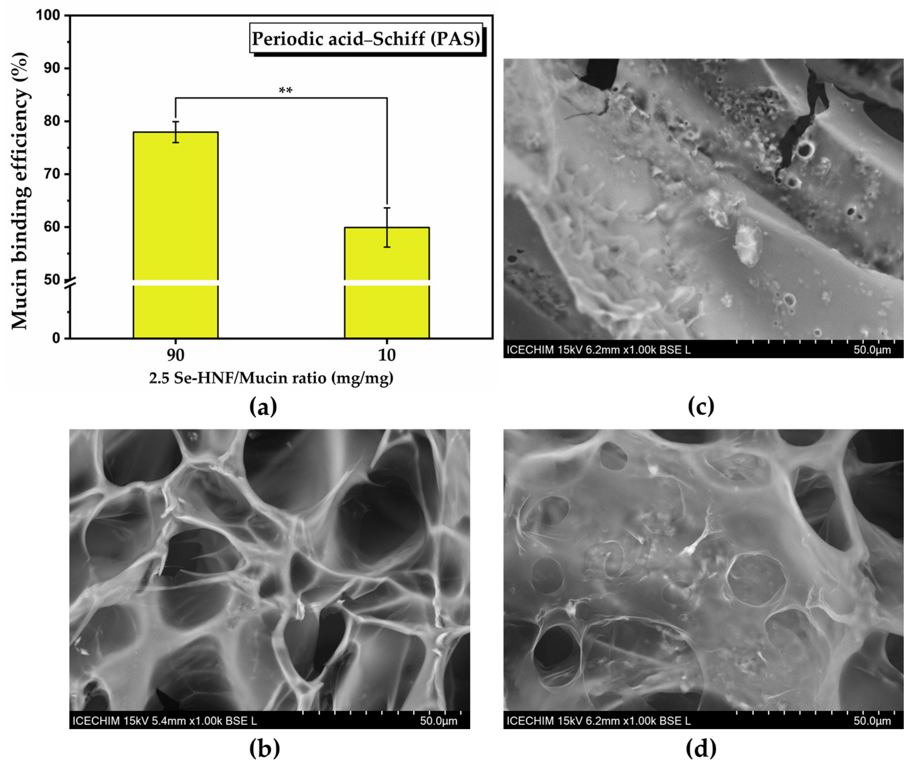 Pharmaceuticals 17 00023 g008