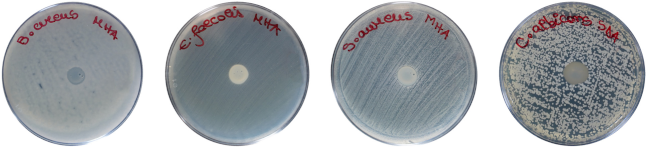 Pharmaceuticals 17 00023 i001