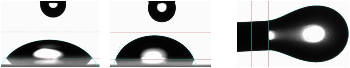 Pharmaceuticals 17 00023 i002