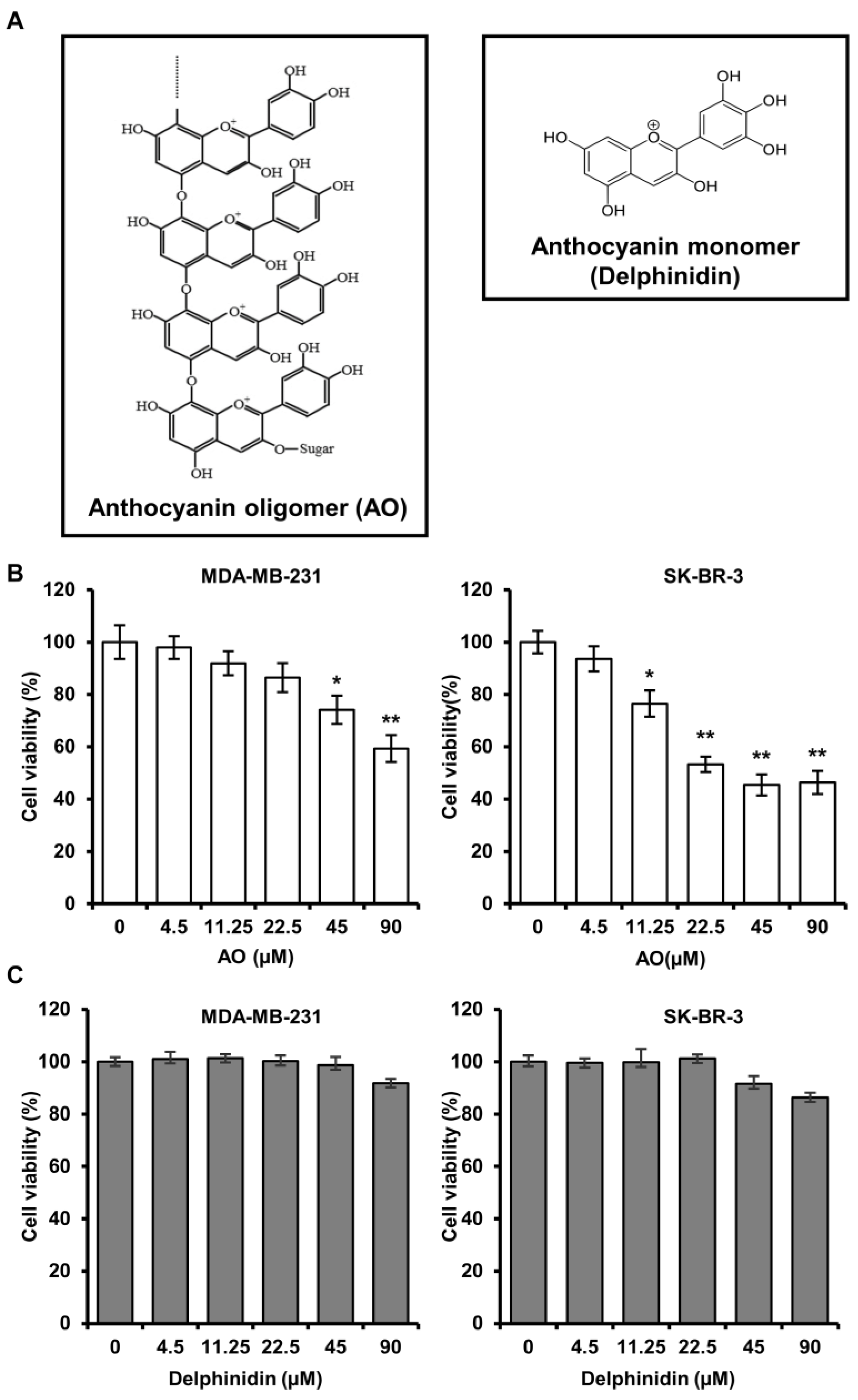 Pharmaceuticals 17 00024 g001