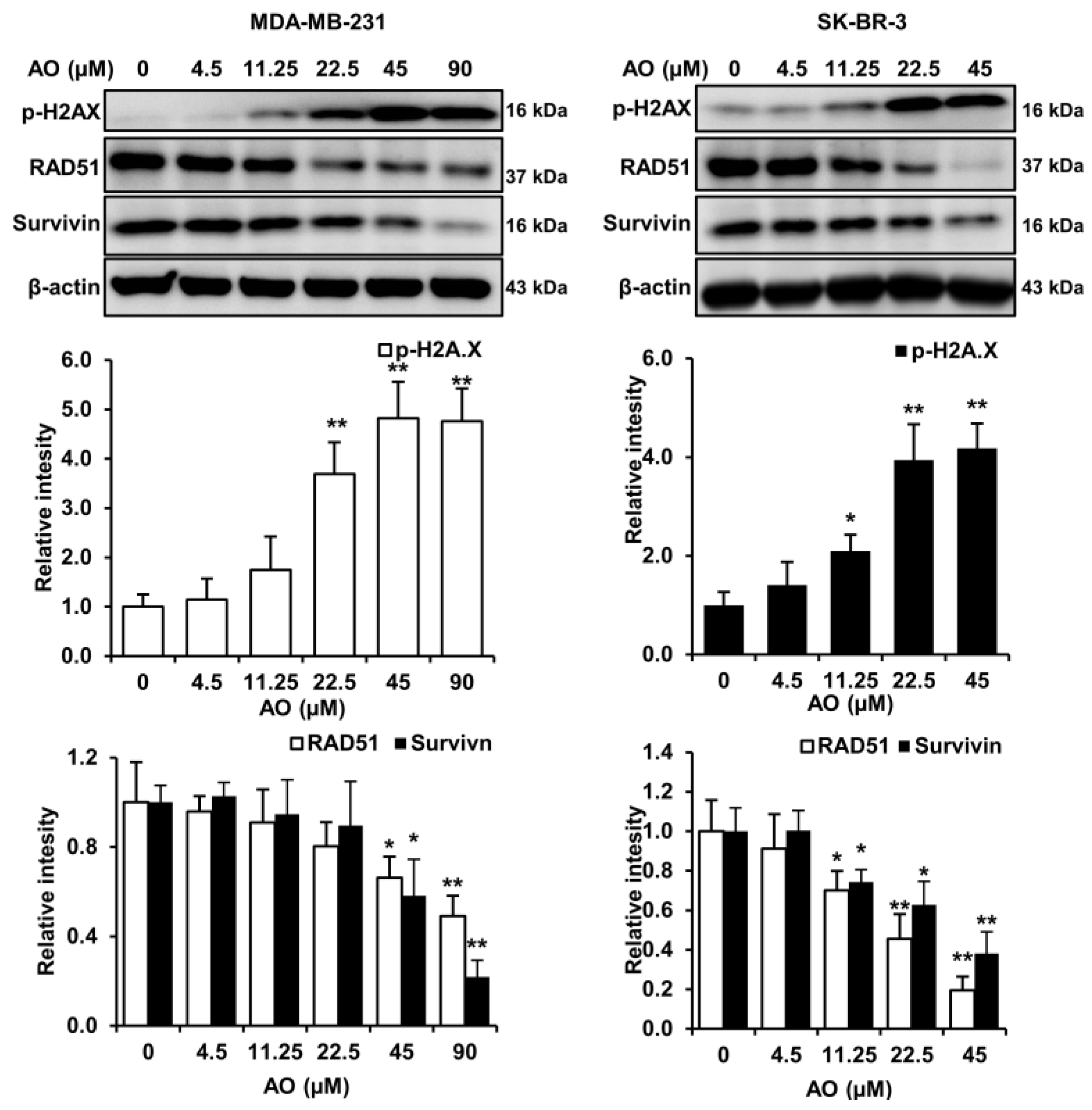 Pharmaceuticals 17 00024 g002