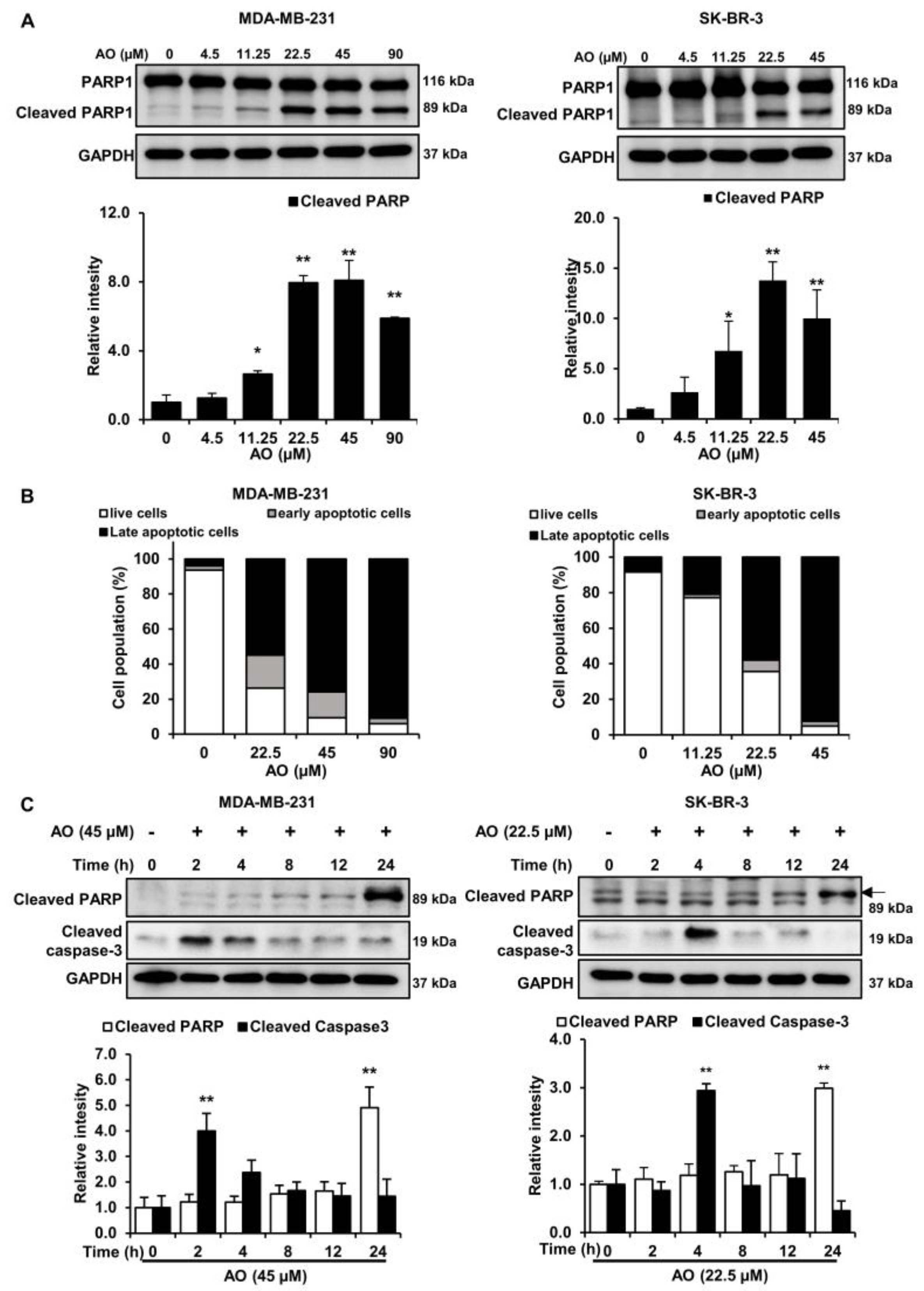 Pharmaceuticals 17 00024 g003