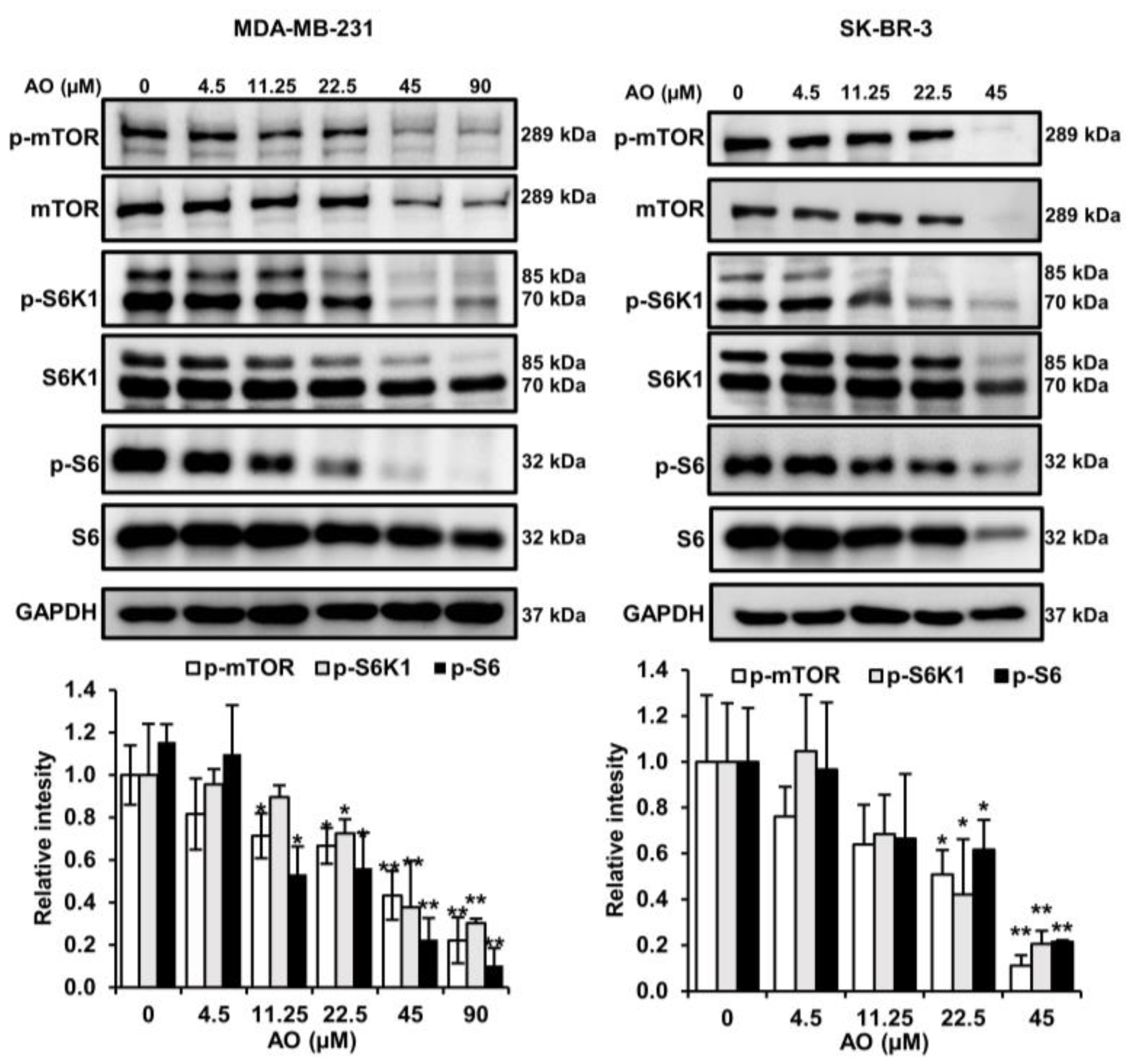 Pharmaceuticals 17 00024 g005
