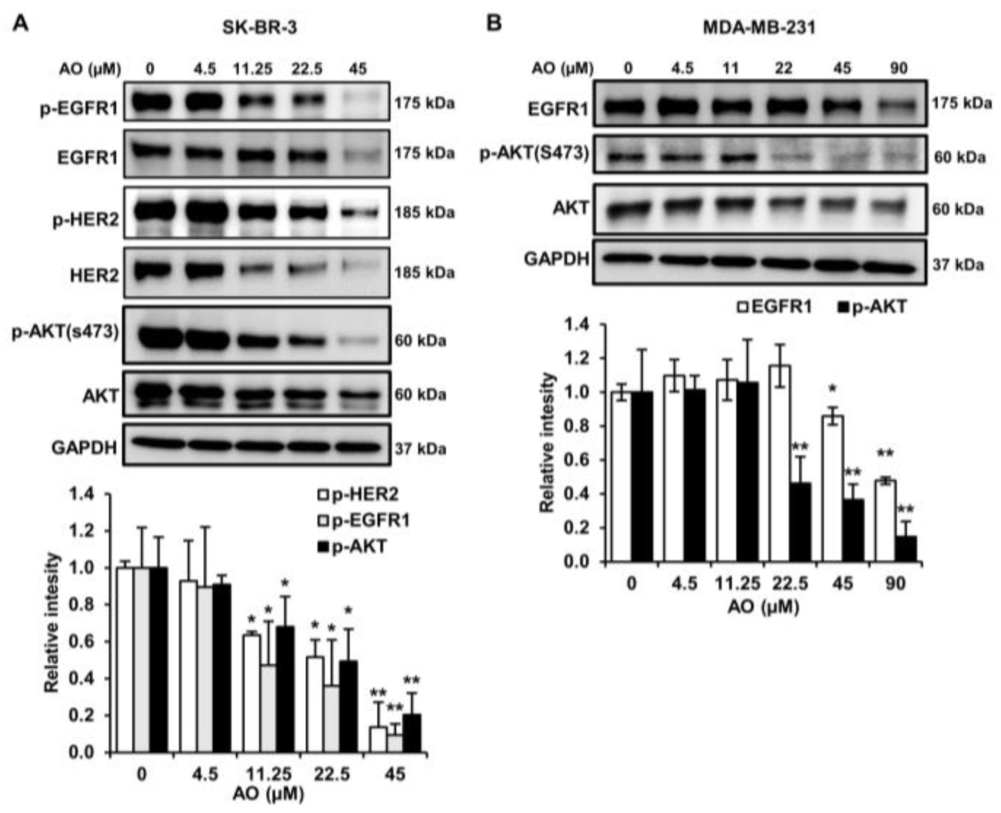Pharmaceuticals 17 00024 g006