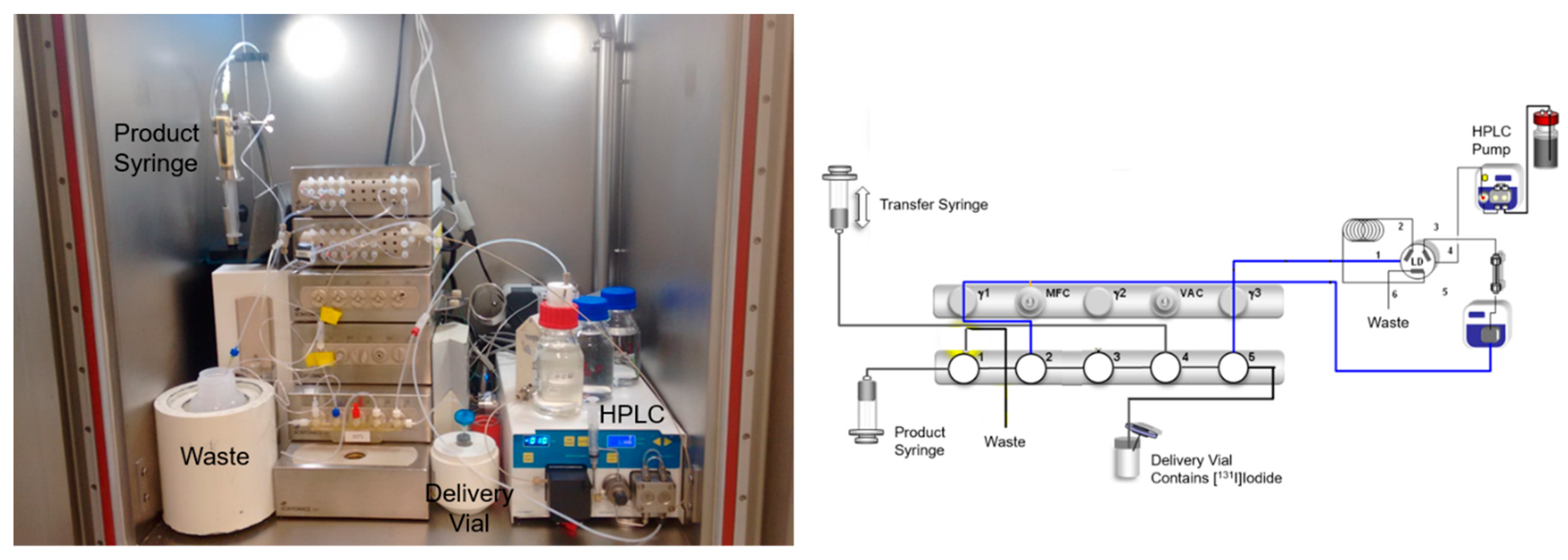 Pharmaceuticals 17 00025 g004 Pharmaceuticals 17 00025 g004