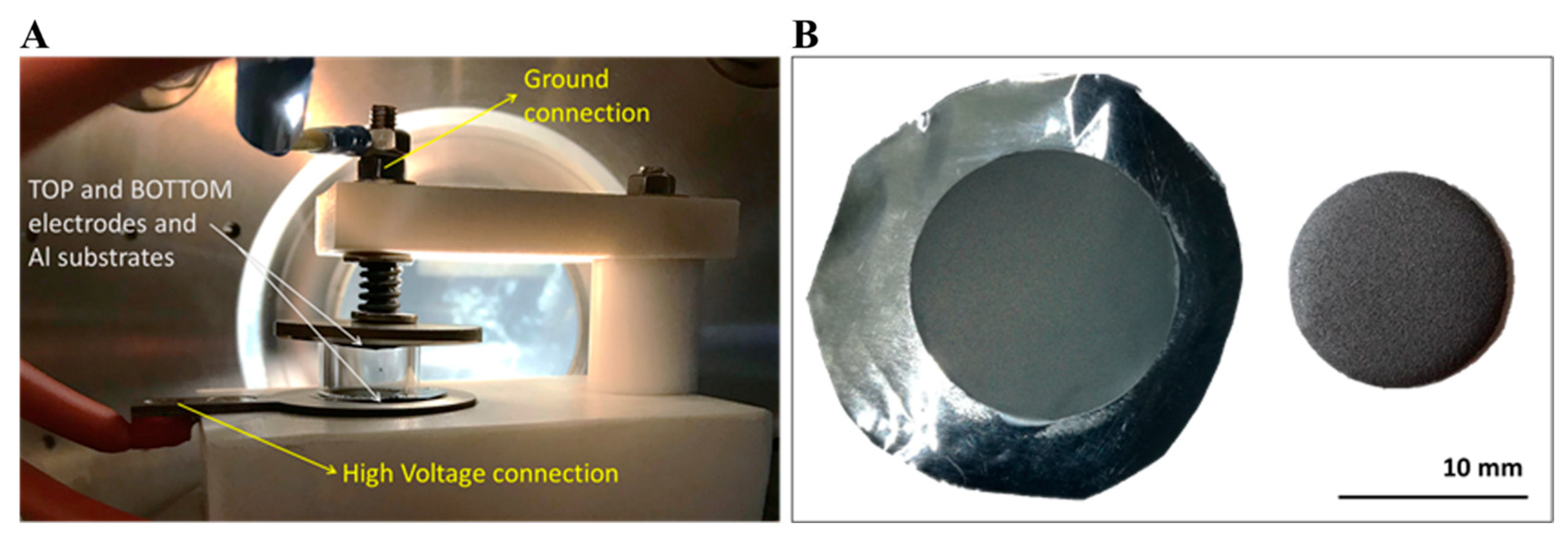 Pharmaceuticals 17 00026 g009