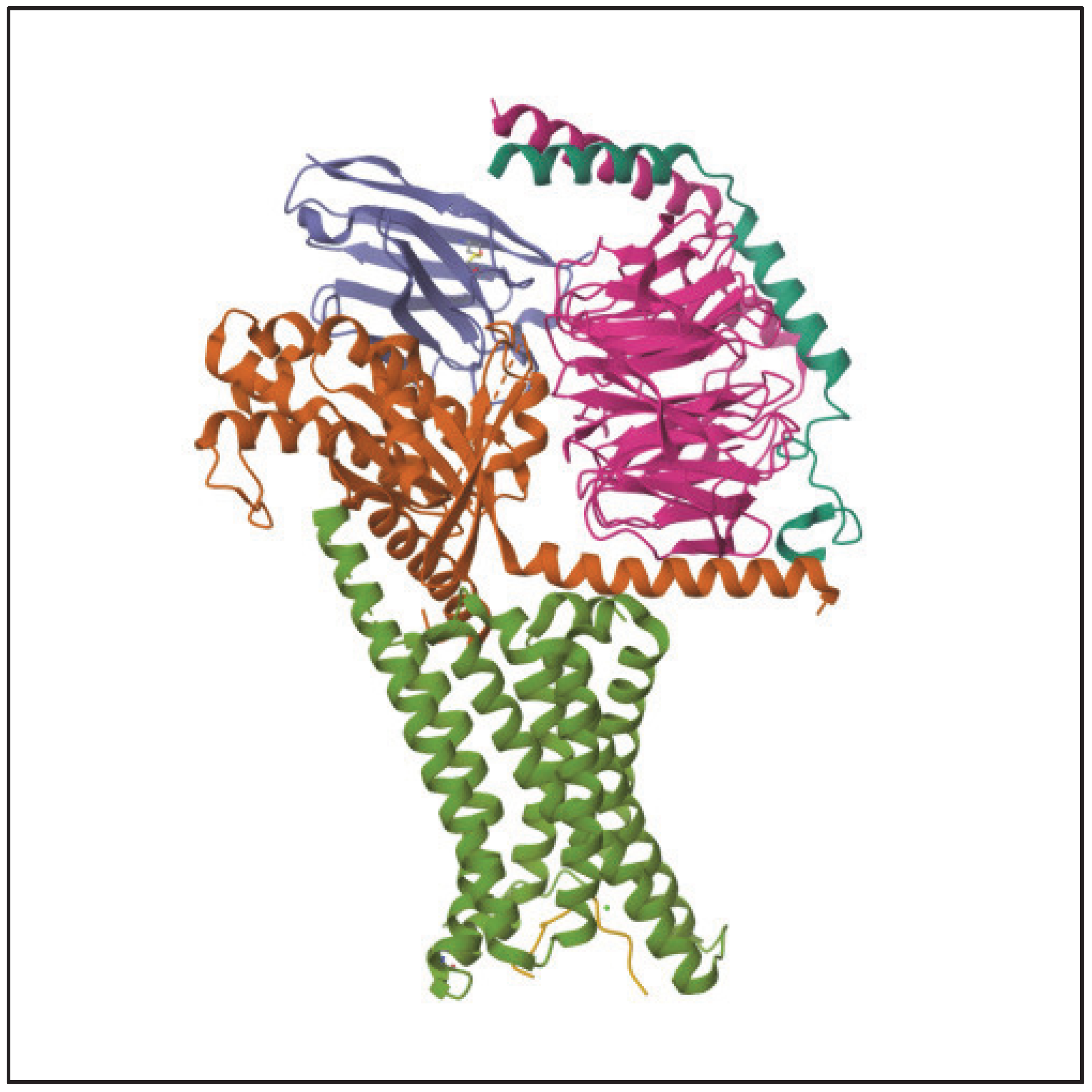 Pharmaceuticals 17 00031 g004 Pharmaceuticals 17 00031 g004