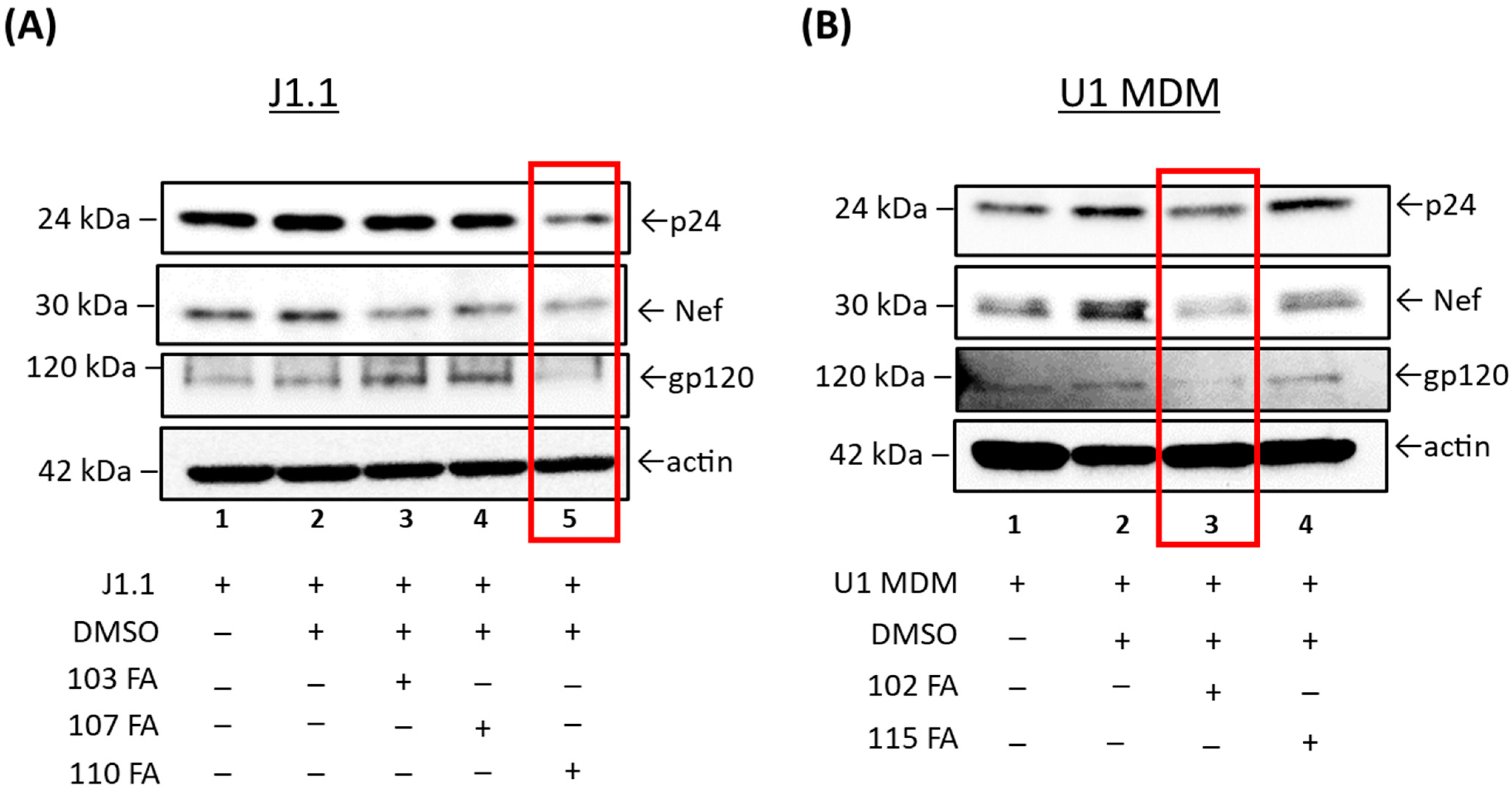 Pharmaceuticals 17 00033 g003 Pharmaceuticals 17 00033 g003