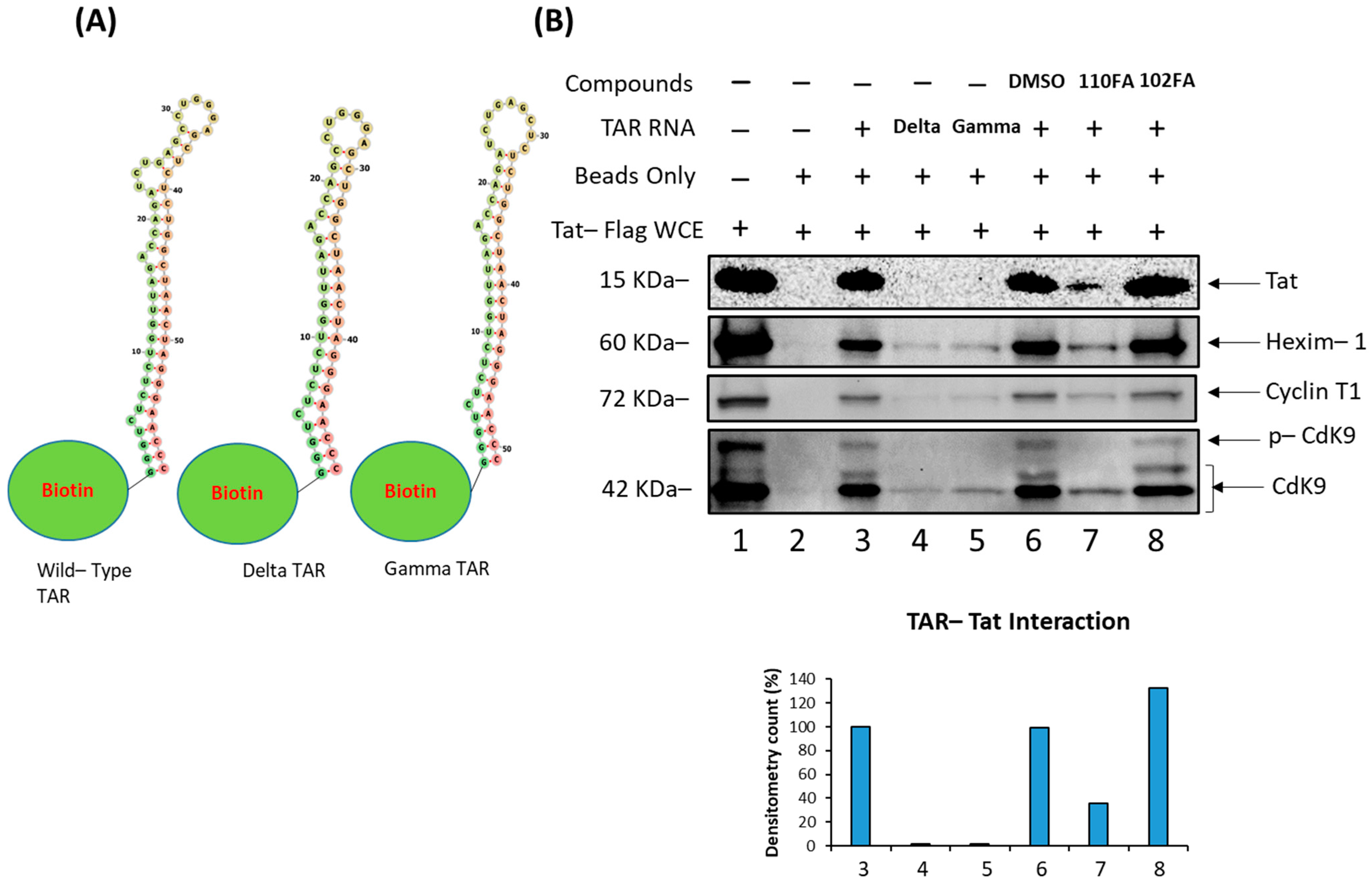 Pharmaceuticals 17 00033 g004 Pharmaceuticals 17 00033 g004