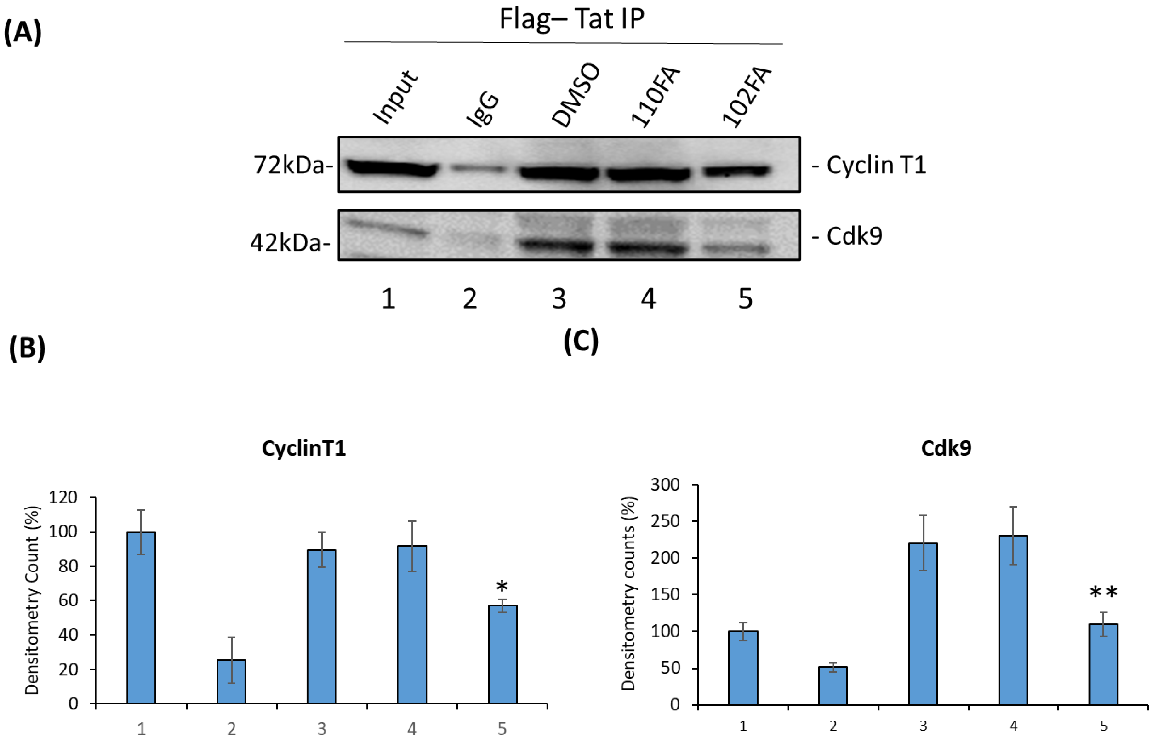 Pharmaceuticals 17 00033 g006 Pharmaceuticals 17 00033 g006