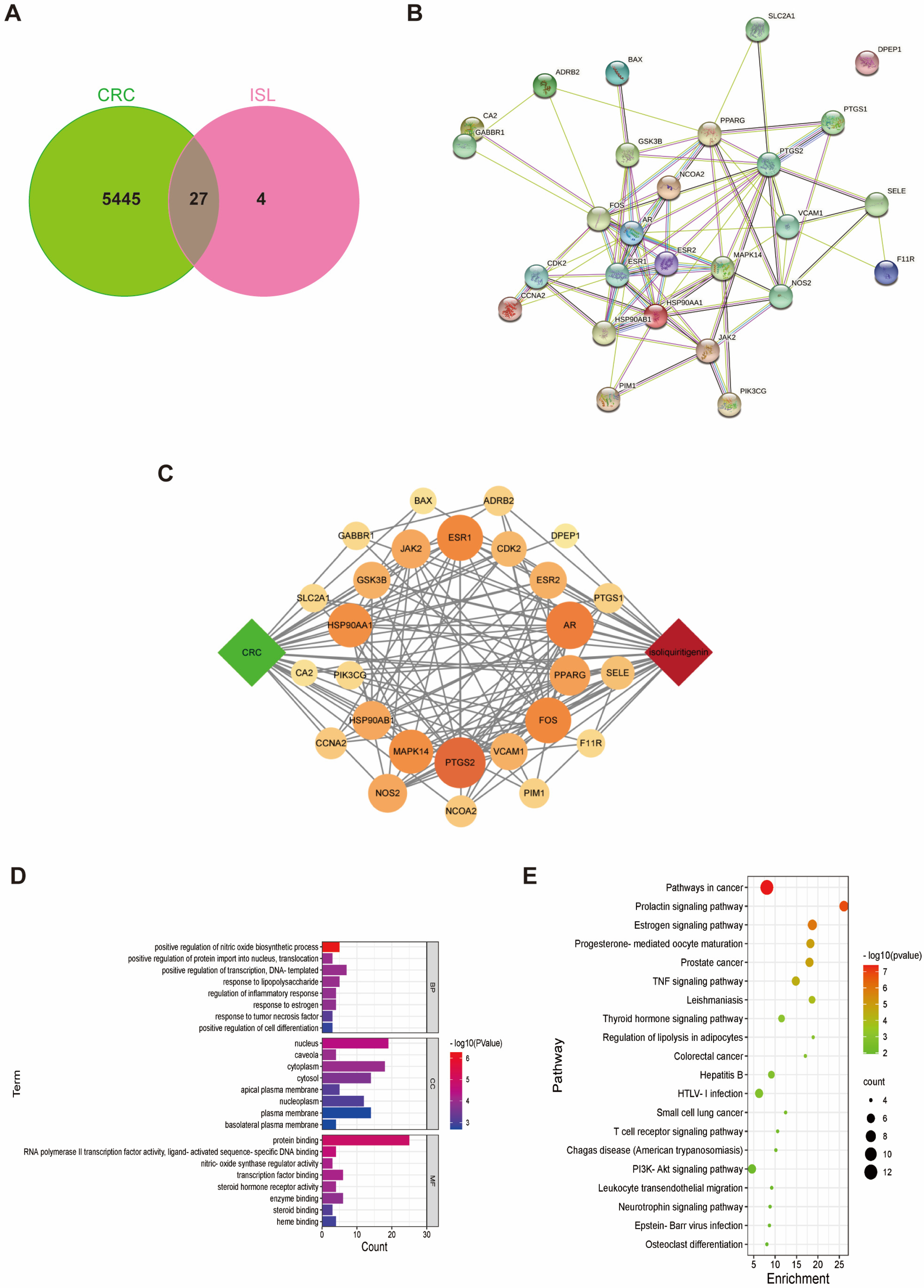 Pharmaceuticals 17 00043 g001