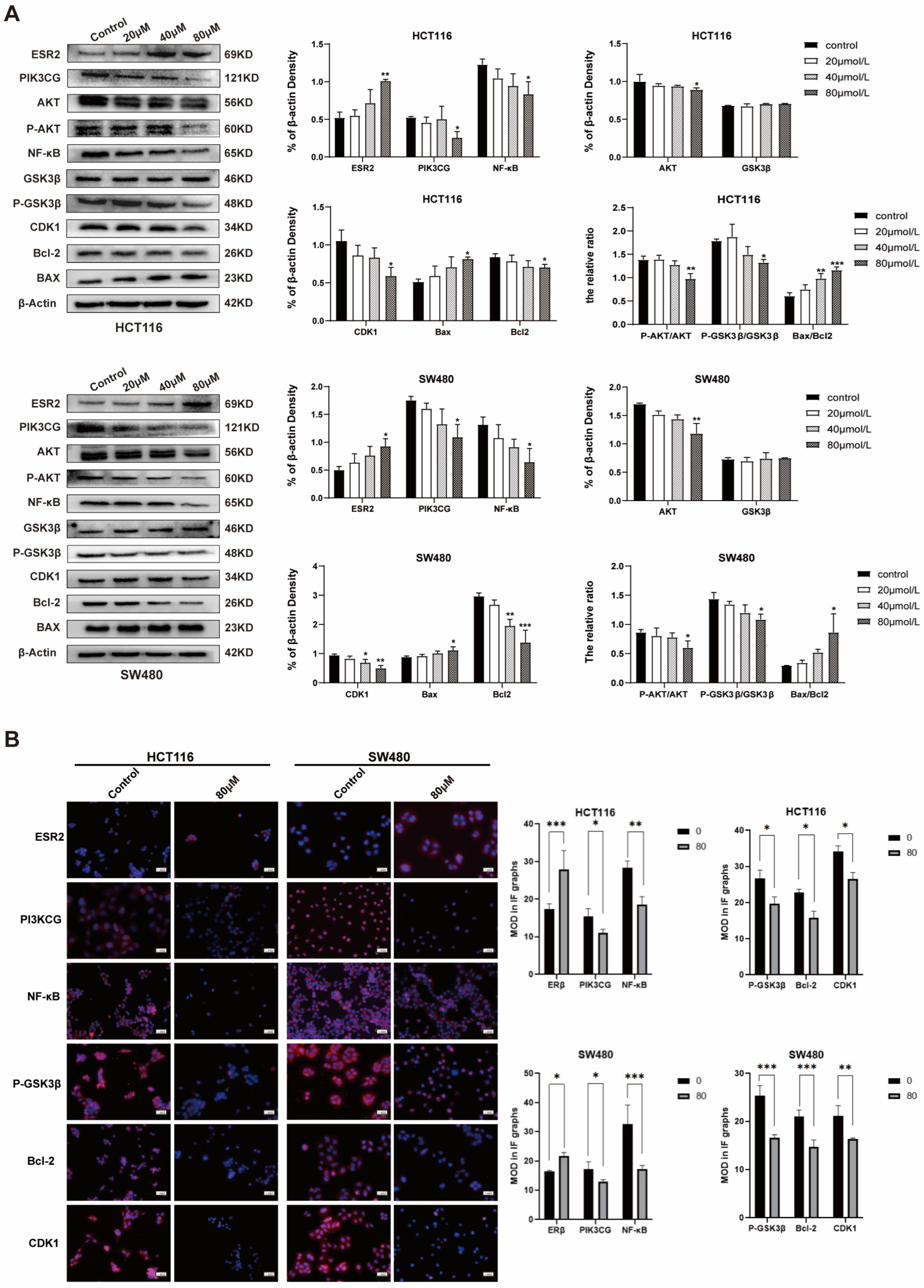 Pharmaceuticals 17 00043 g004