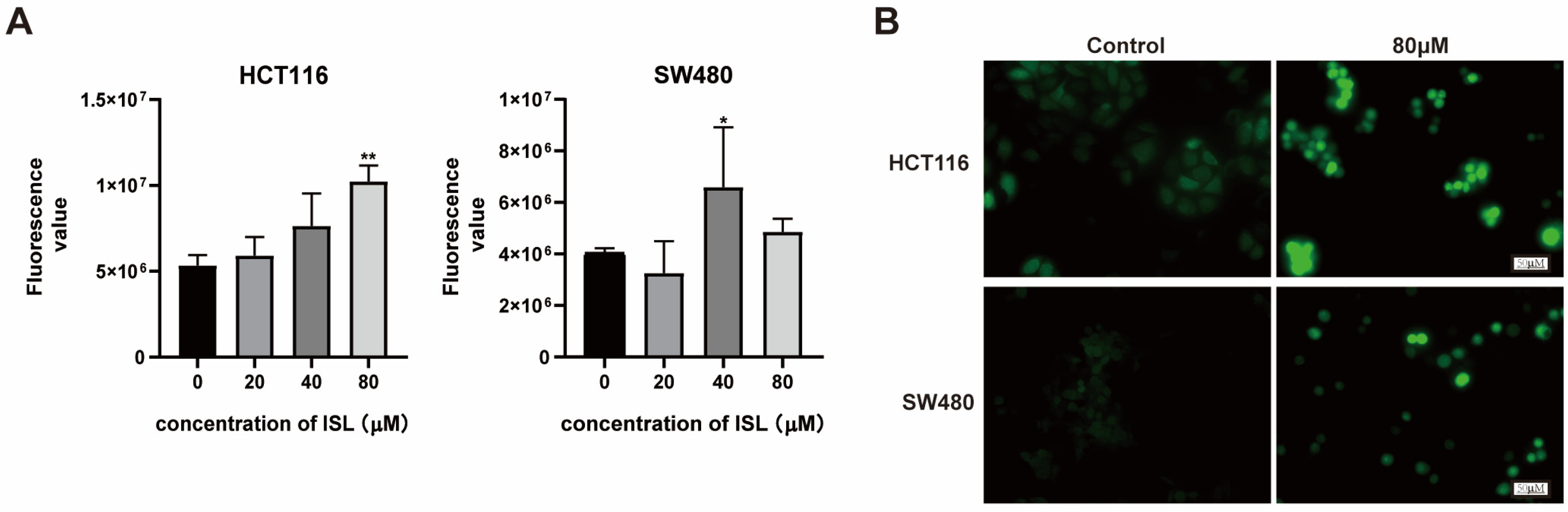 Pharmaceuticals 17 00043 g005