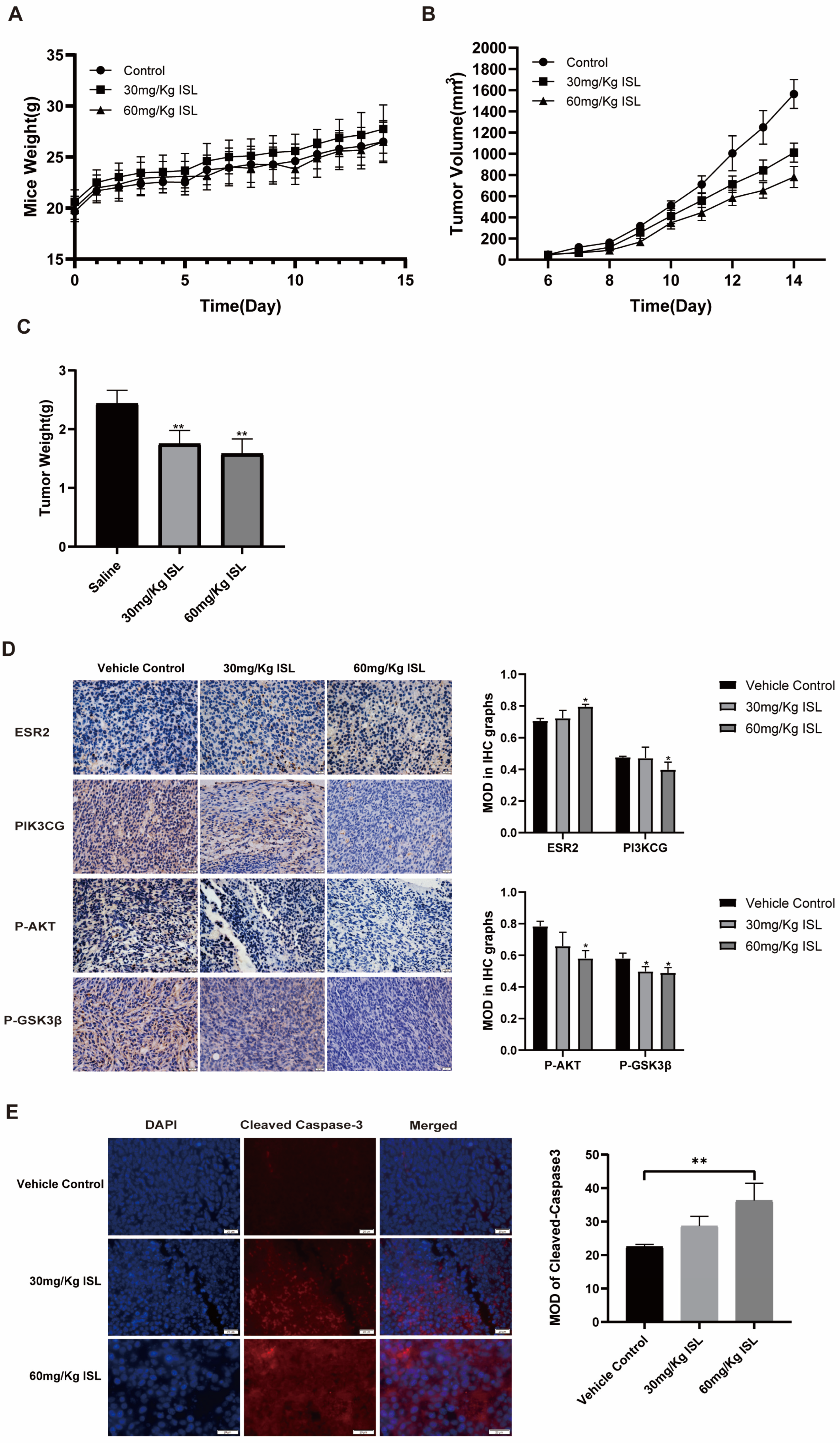 Pharmaceuticals 17 00043 g006
