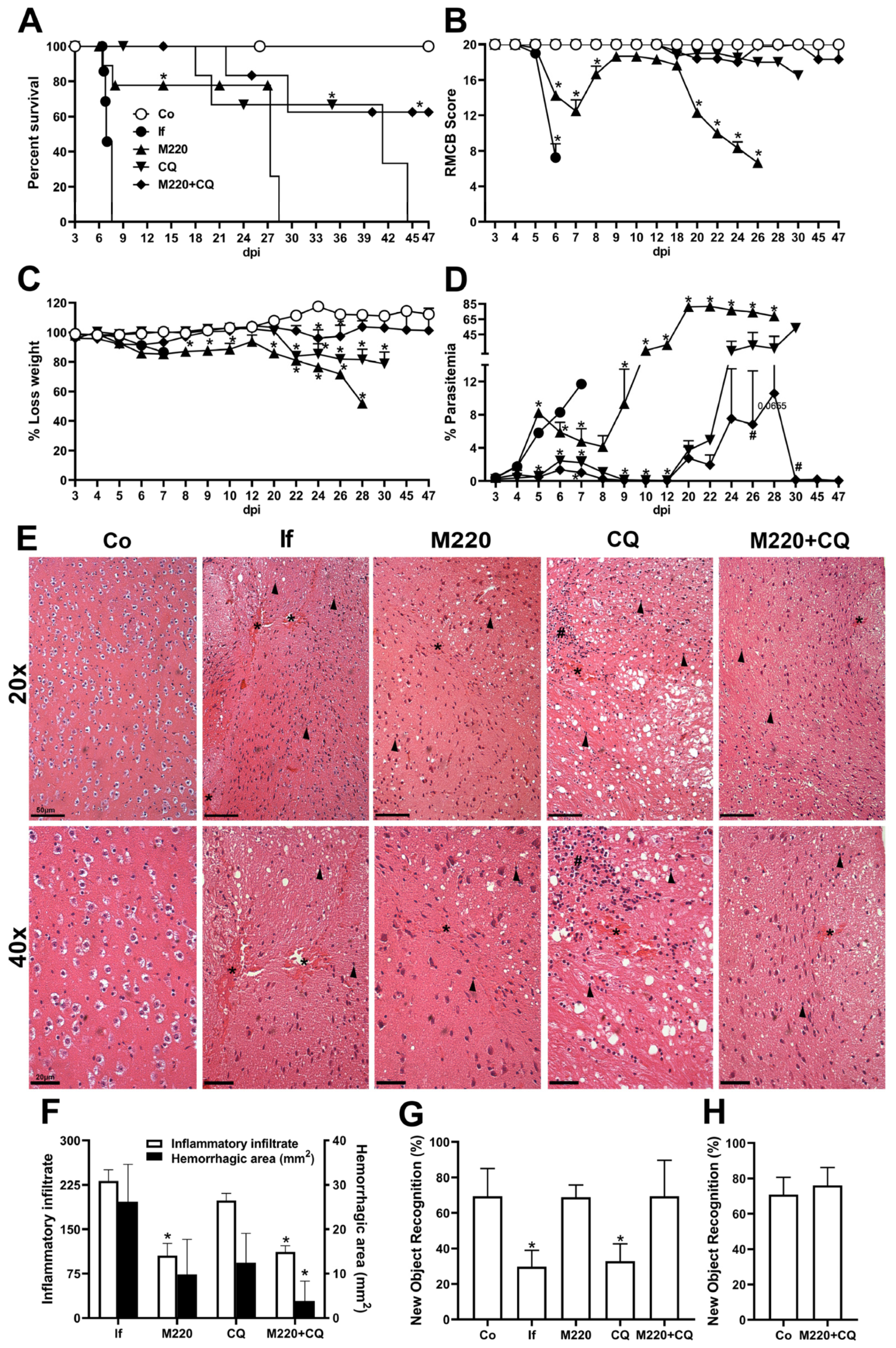 Pharmaceuticals 17 00046 g002 Pharmaceuticals 17 00046 g002