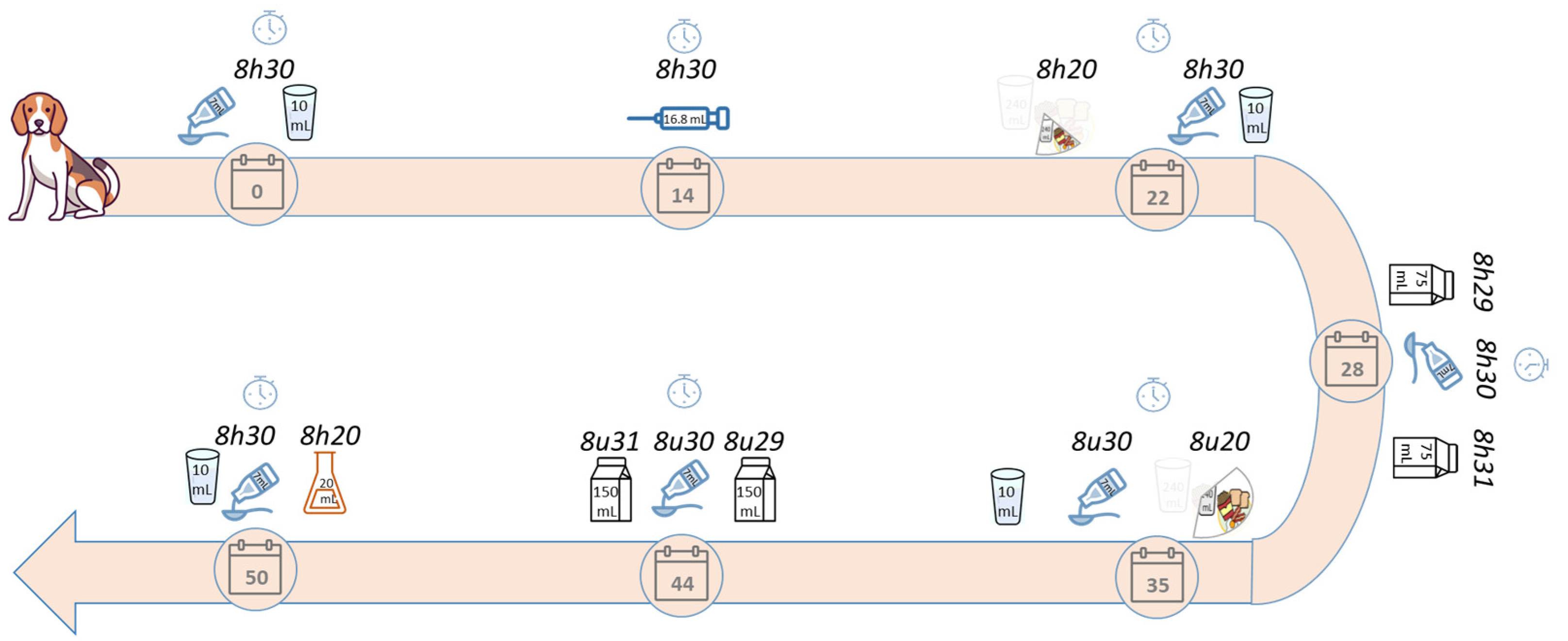 Pharmaceuticals 17 00053 g005