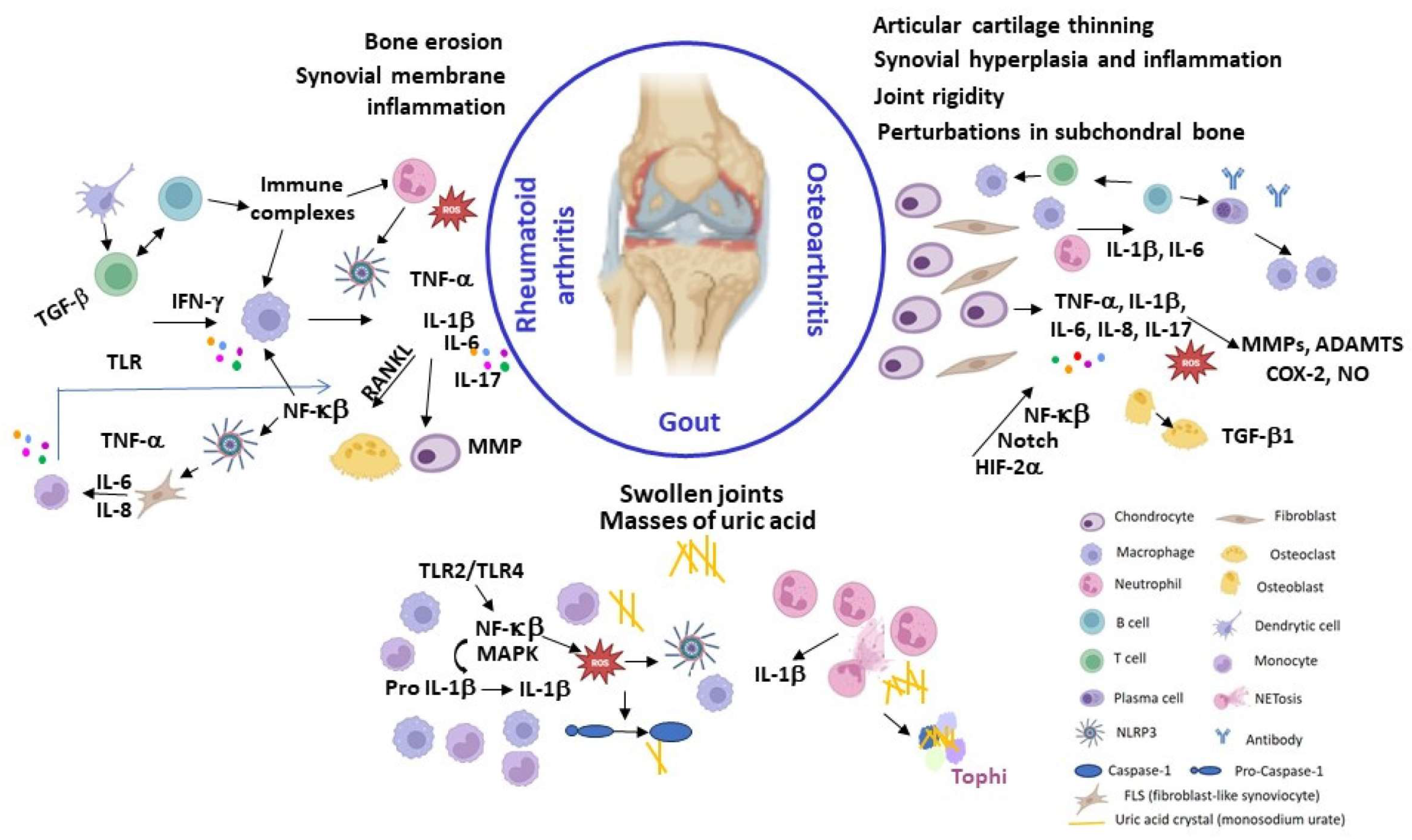 Pharmaceuticals 17 00054 g001