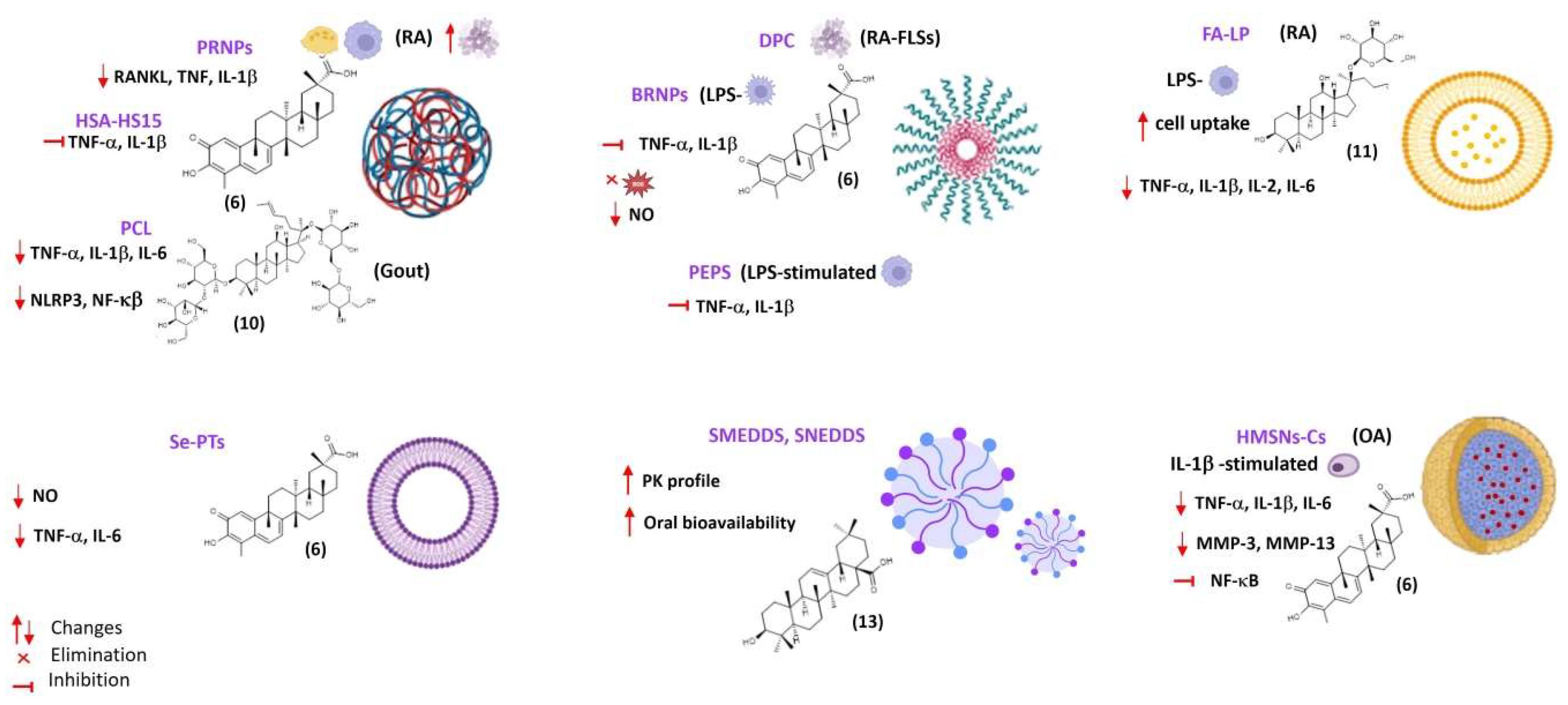 Pharmaceuticals 17 00054 g003