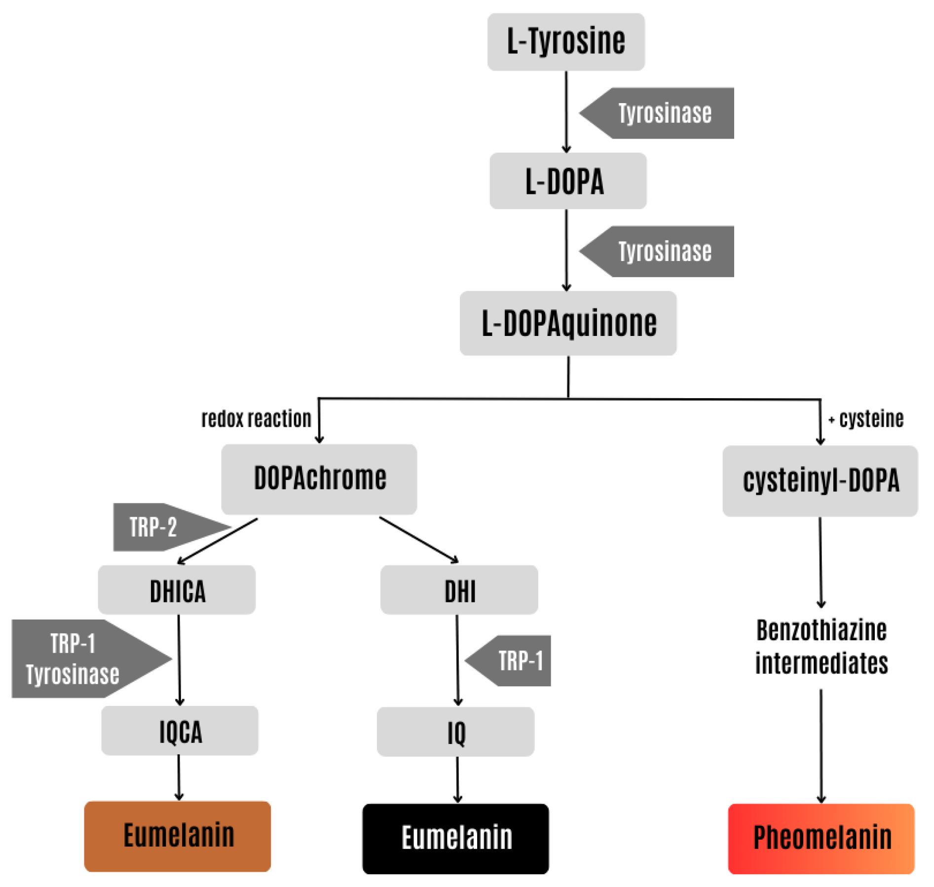 Pharmaceuticals 17 00055 g001
