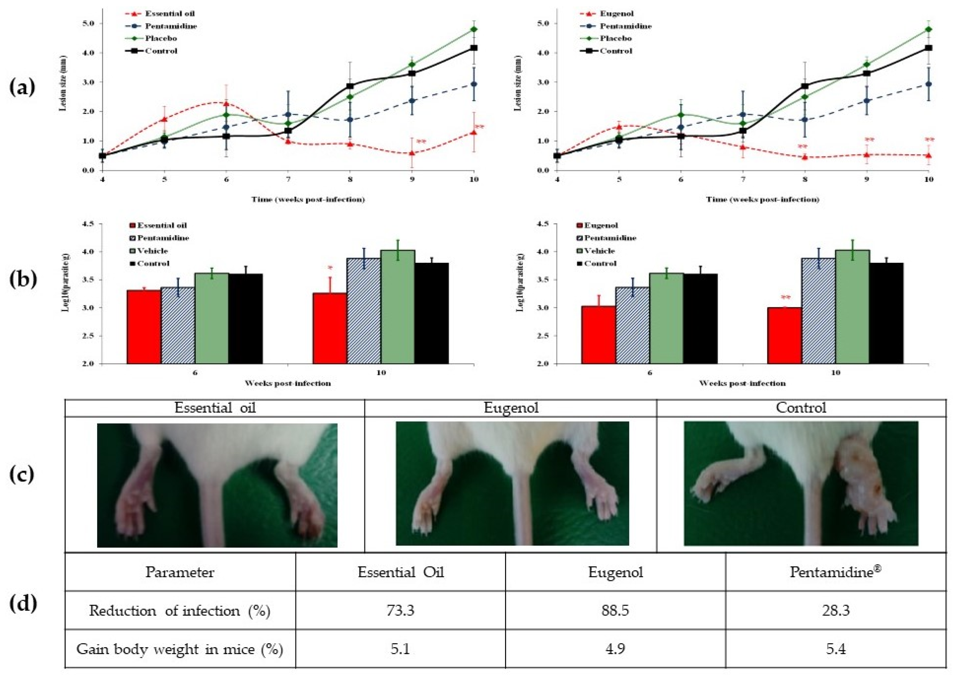 Pharmaceuticals 17 00064 g002