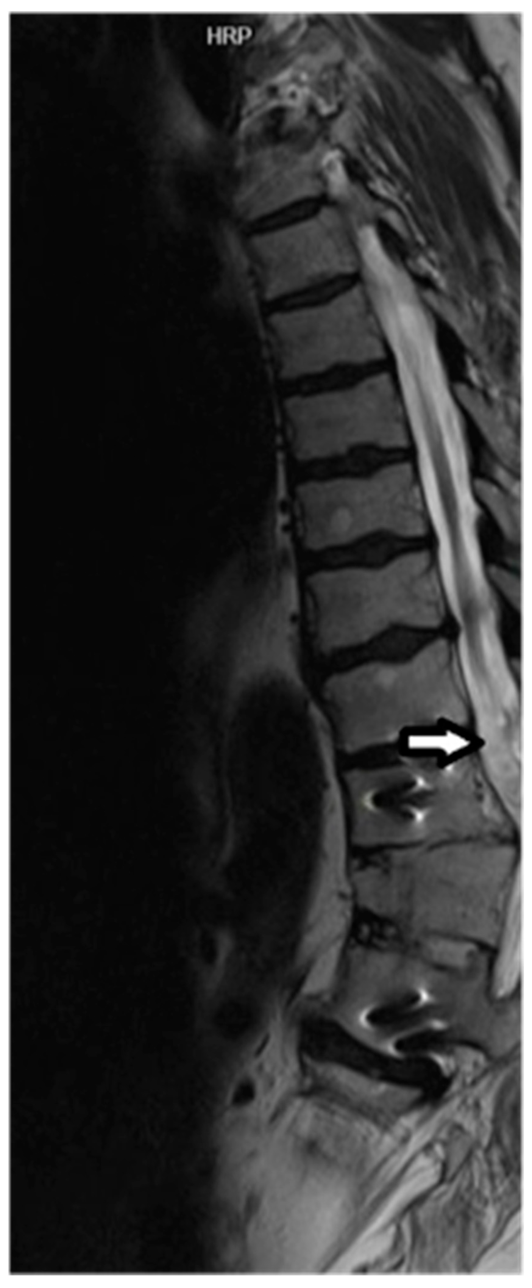 Pharmaceuticals 17 00071 g001 Pharmaceuticals 17 00071 g001
