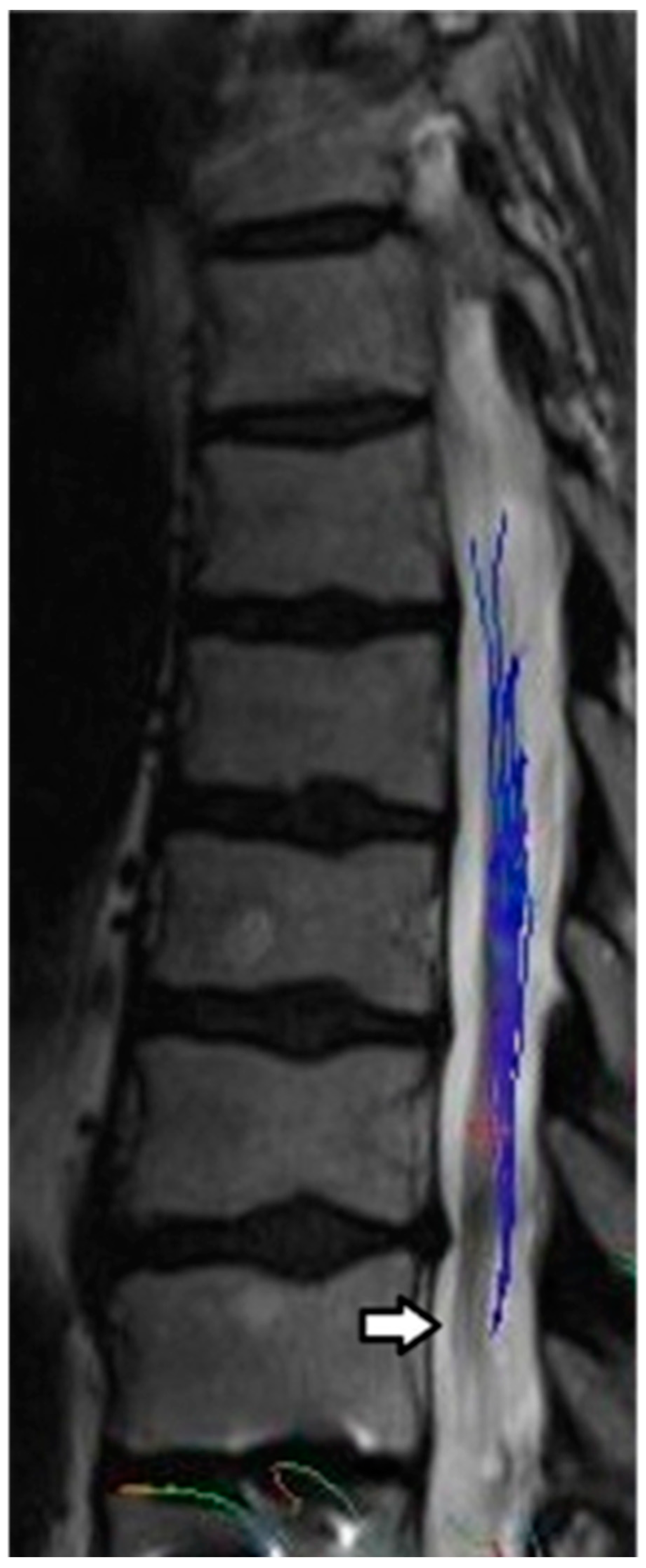 Pharmaceuticals 17 00071 g002 Pharmaceuticals 17 00071 g002