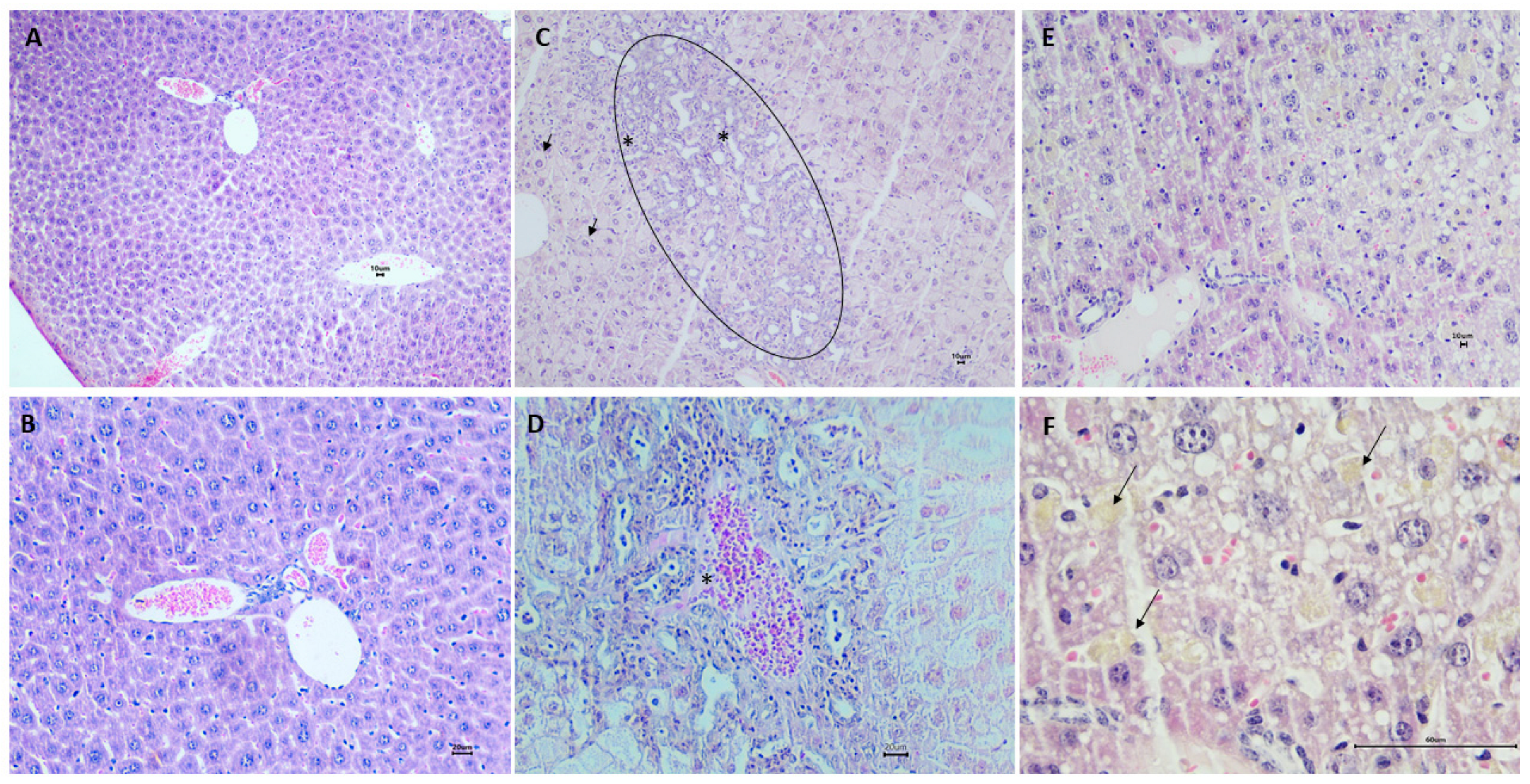 Pharmaceuticals 17 00072 g006