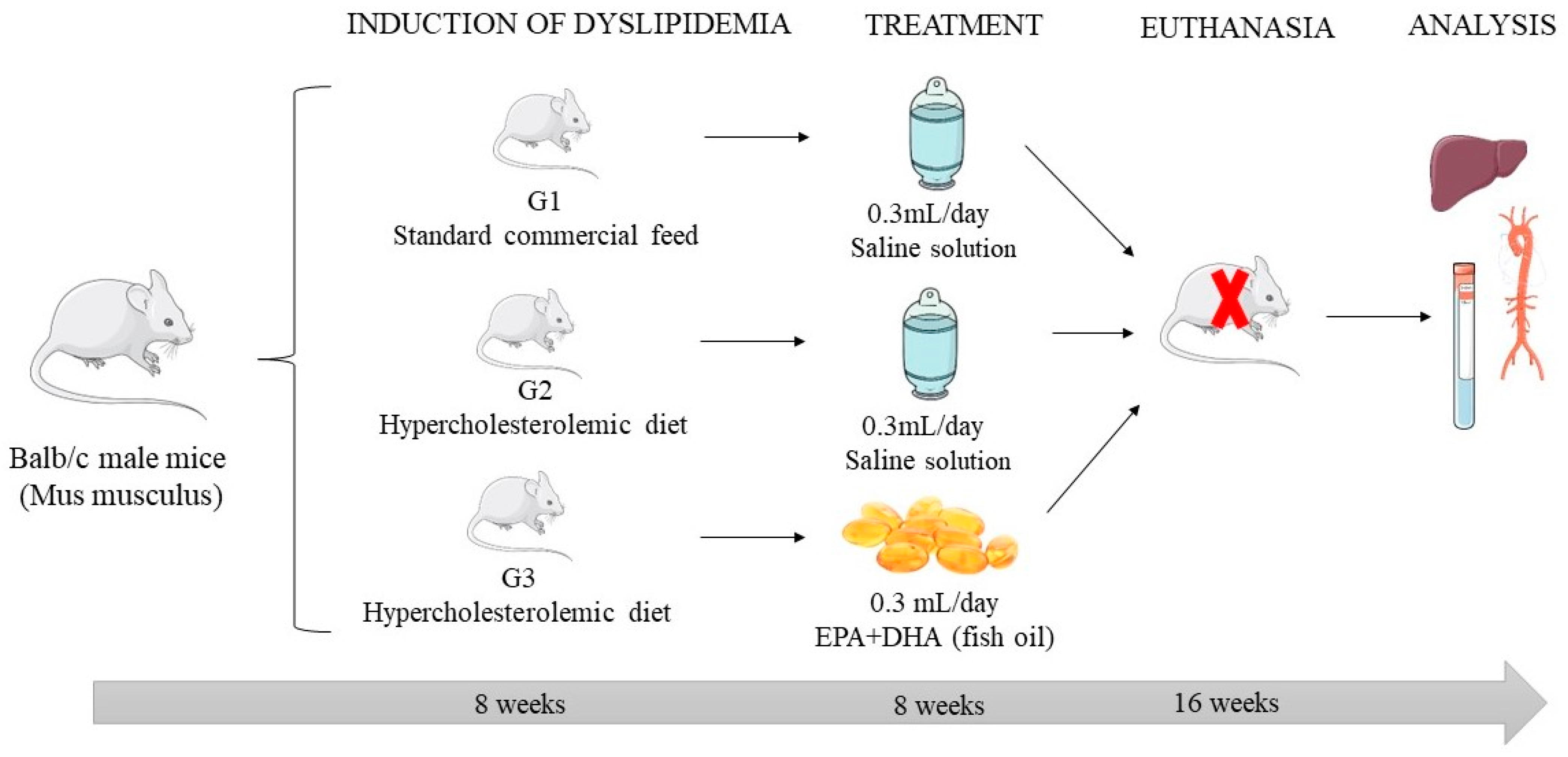 Pharmaceuticals 17 00072 g007
