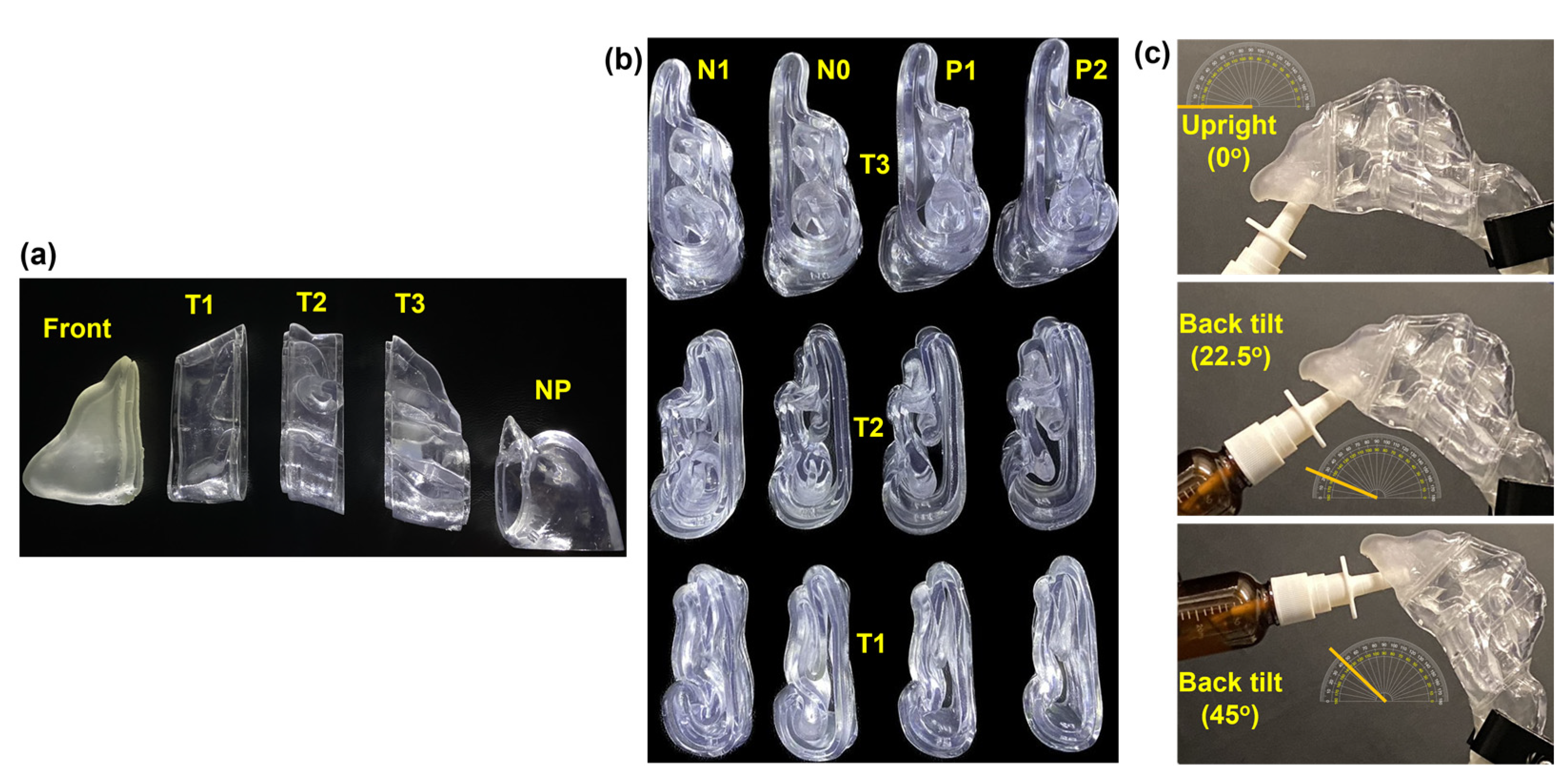 Pharmaceuticals 17 00073 g002