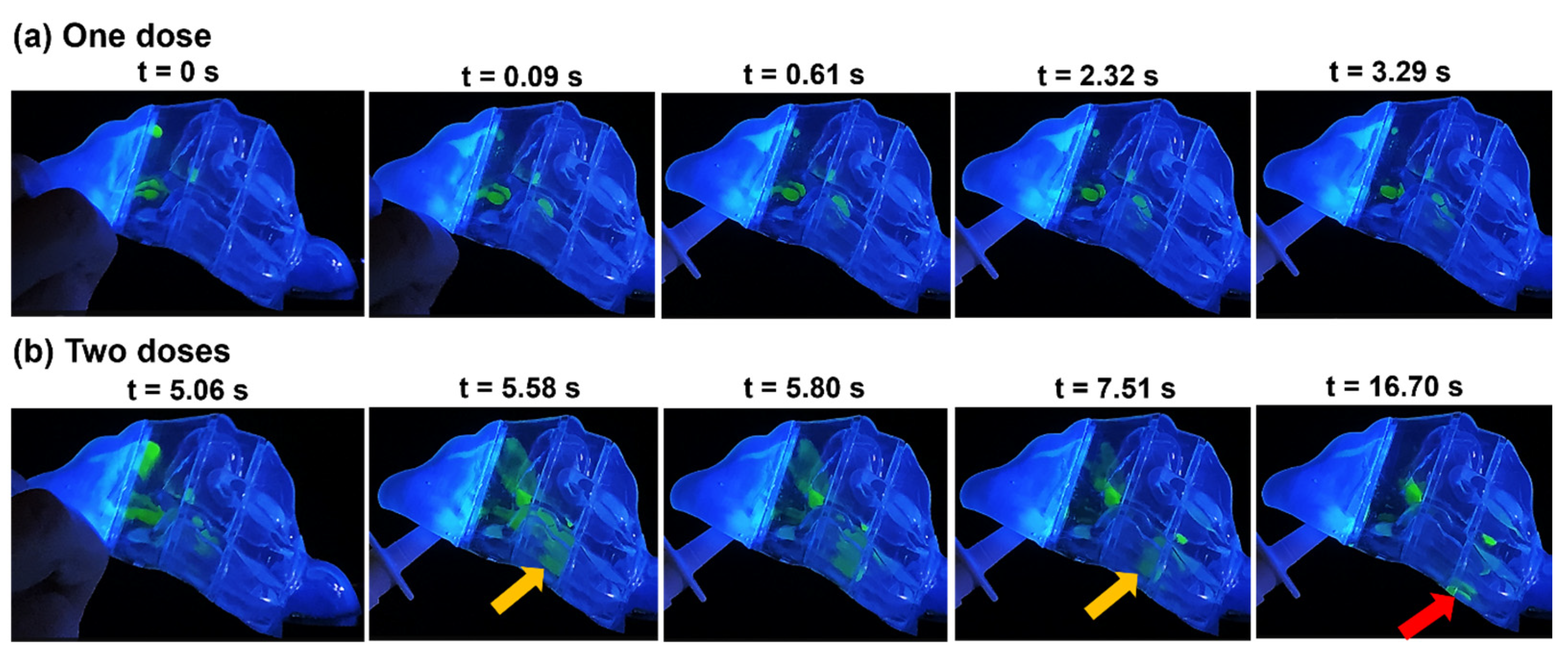 Pharmaceuticals 17 00073 g003