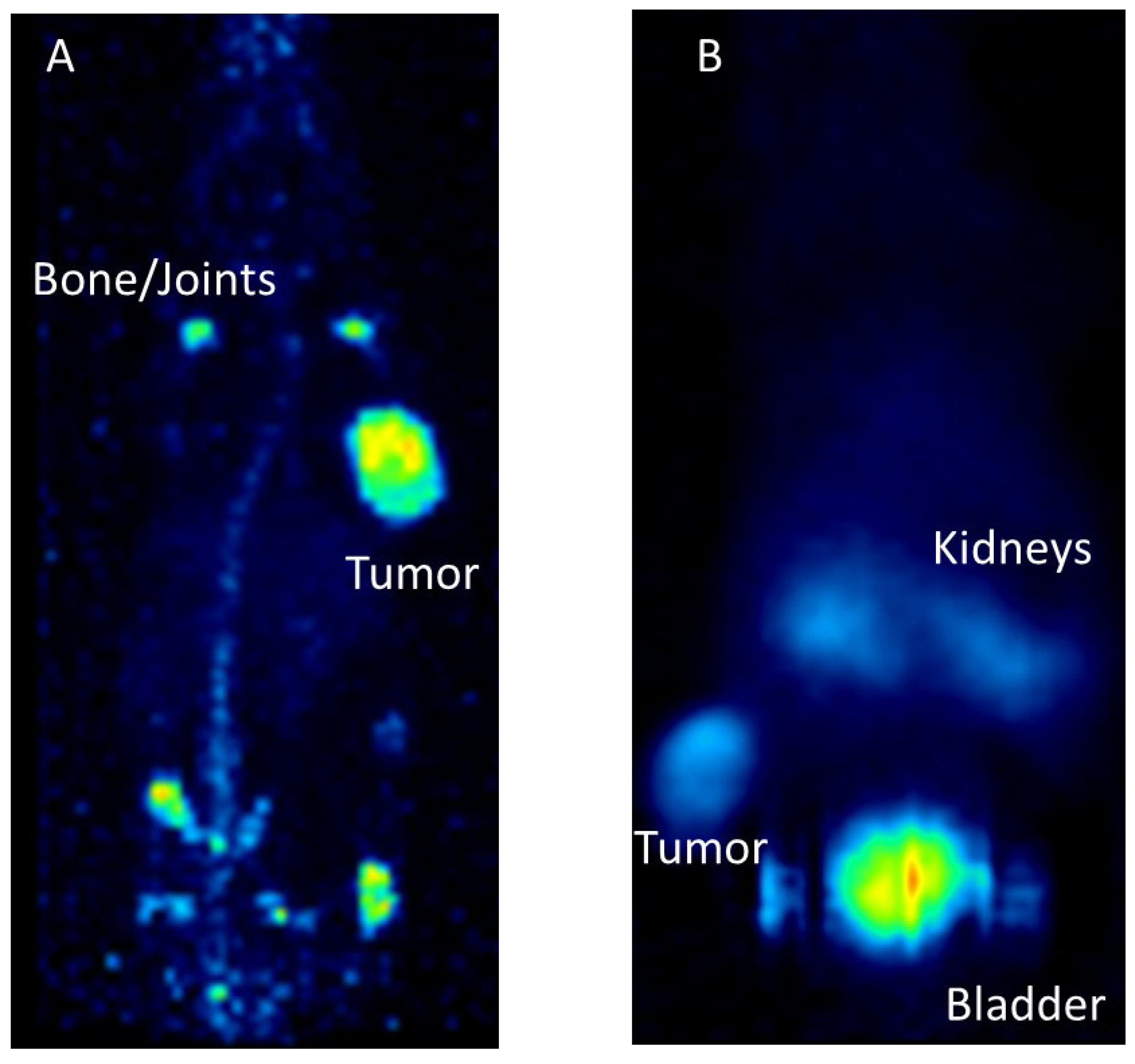 Pharmaceuticals 17 00076 g005 Pharmaceuticals 17 00076 g005