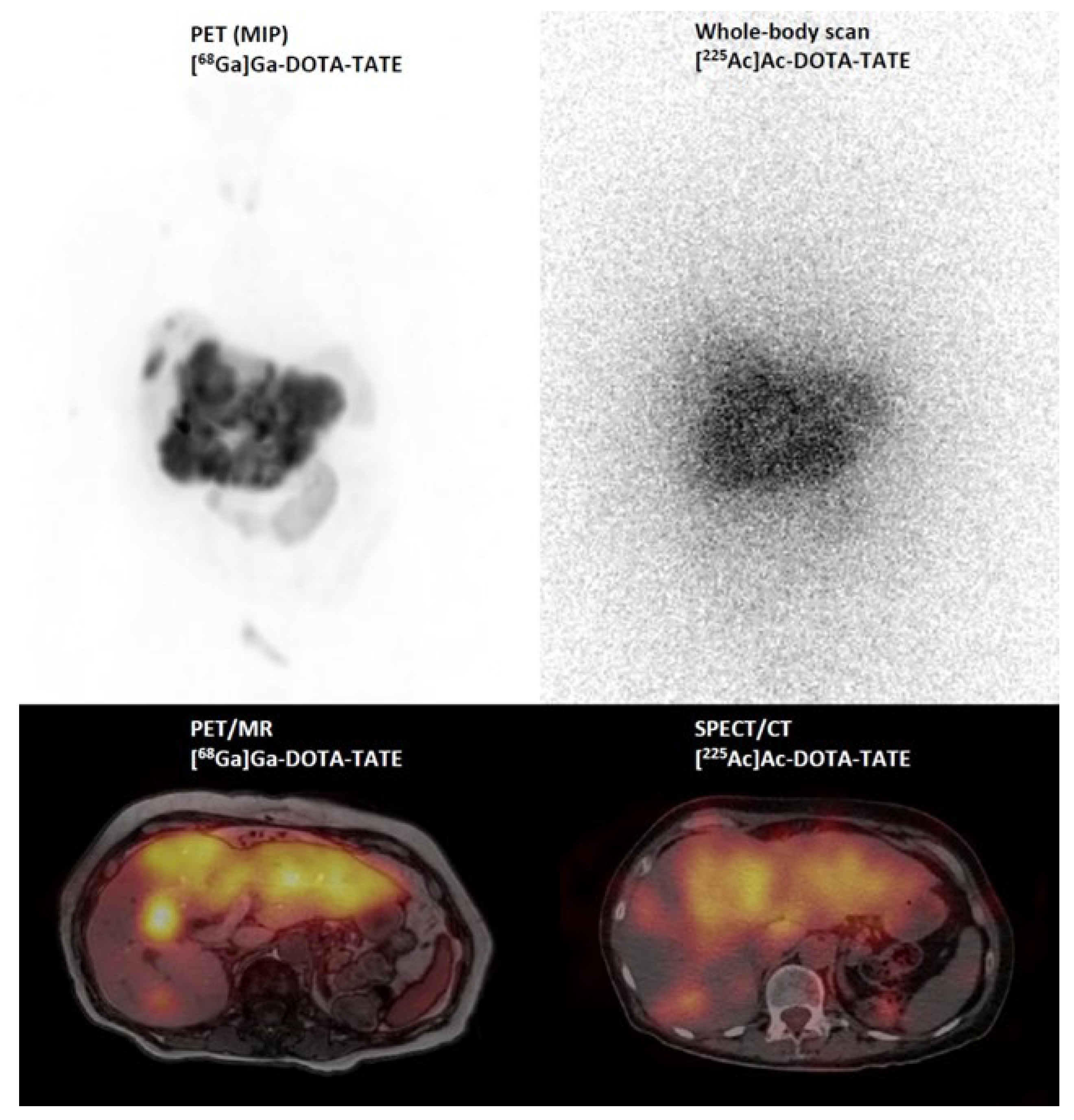 Pharmaceuticals 17 00076 g006 Pharmaceuticals 17 00076 g006